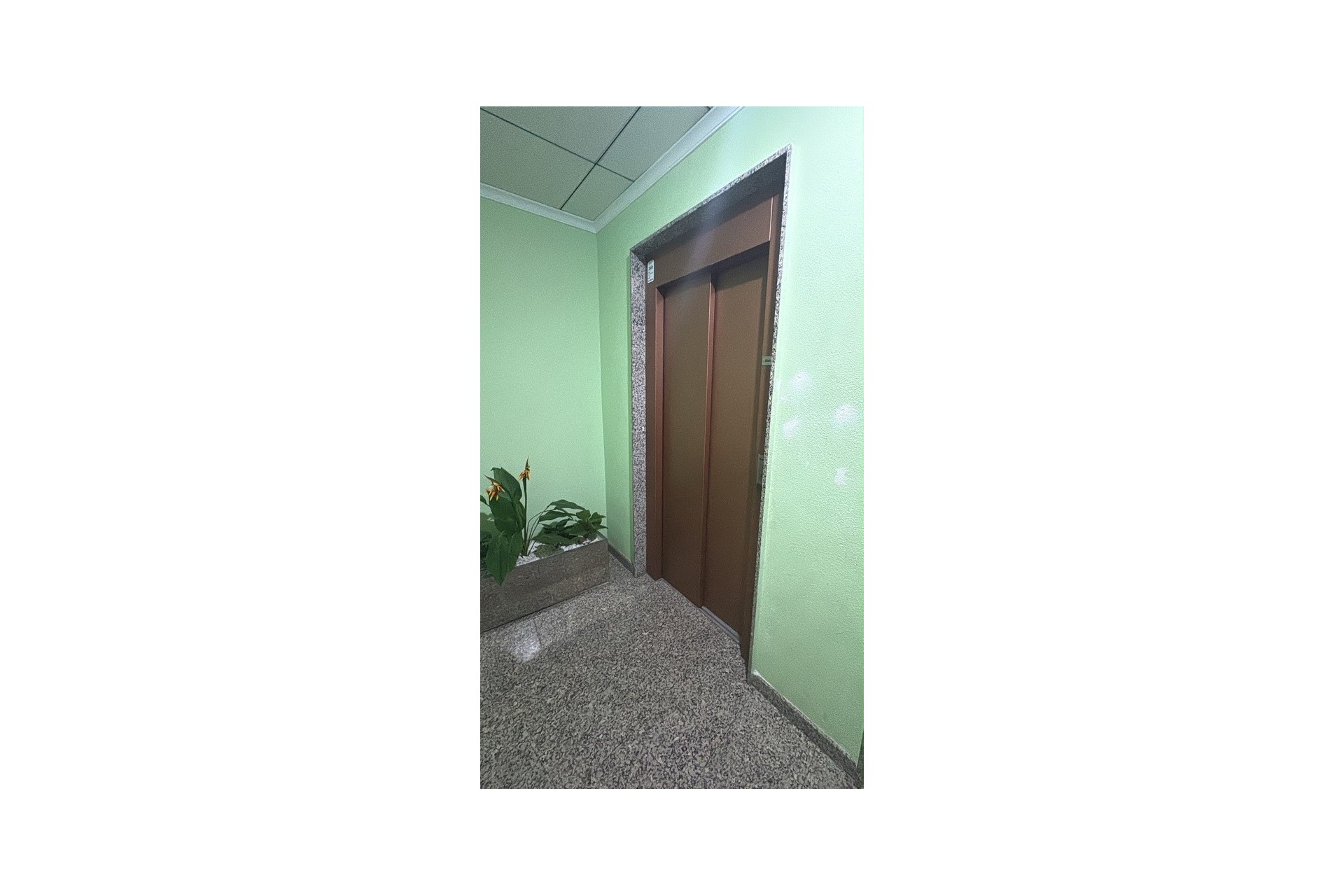 Reventa - Apartment -
Torrevieja - Costa Blanca