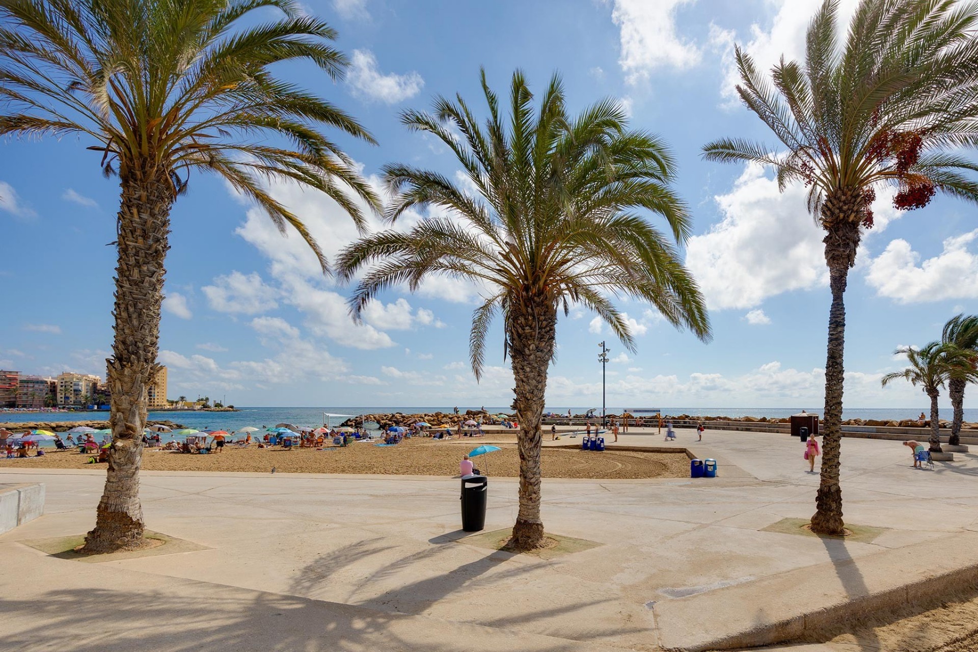 Reventa - Apartment -
Torrevieja - Costa Blanca