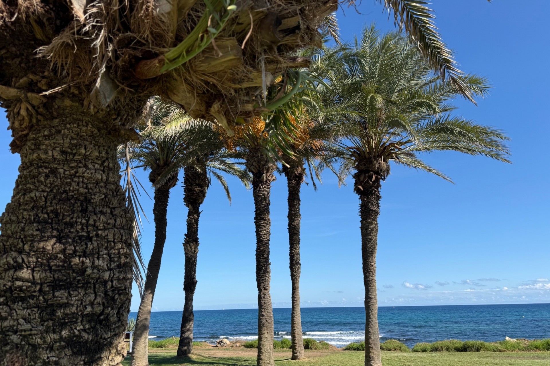 Reventa - Apartment -
Torrevieja - Costa Blanca
