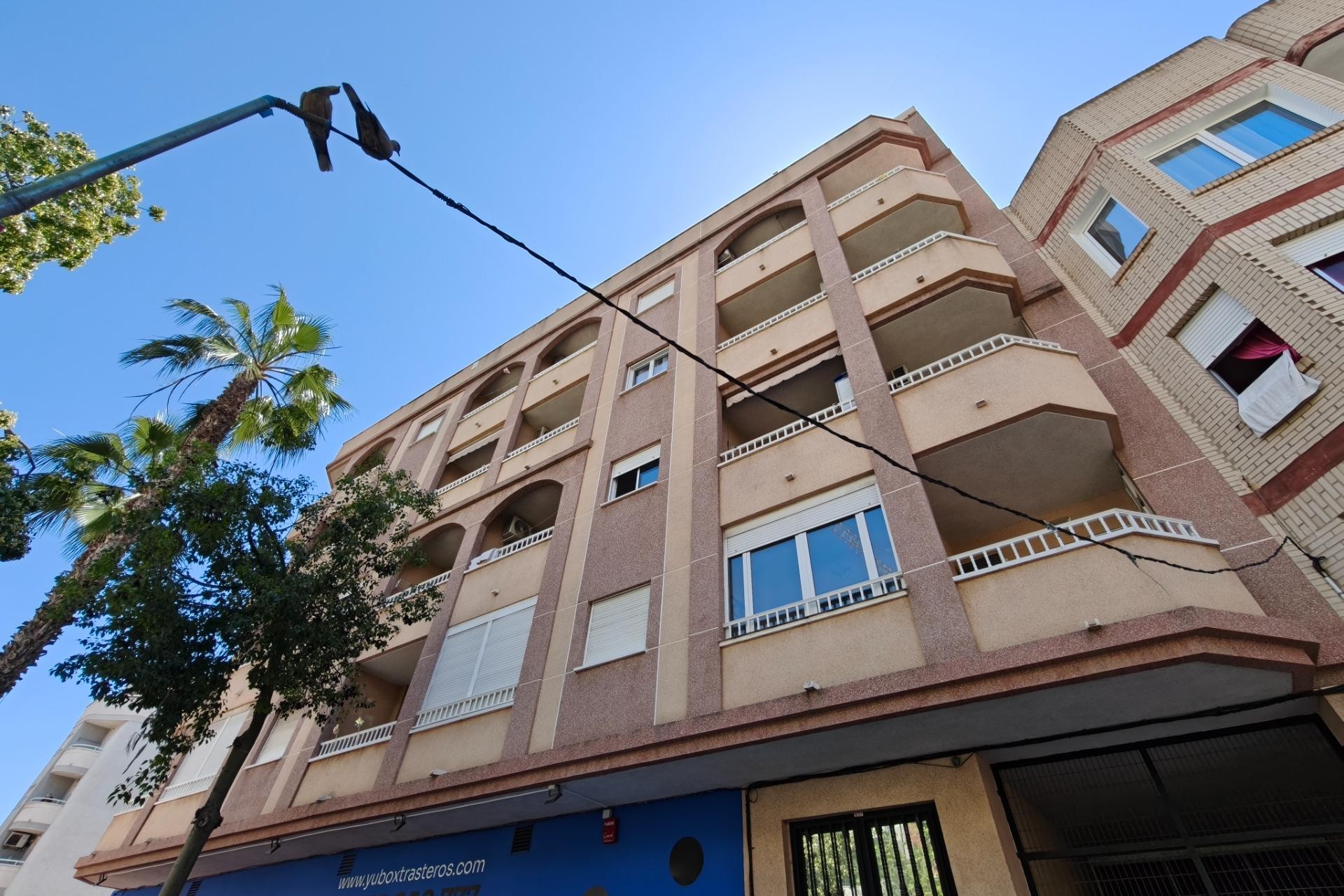 Reventa - Apartment -
Torrevieja - Estacion De Autobuses