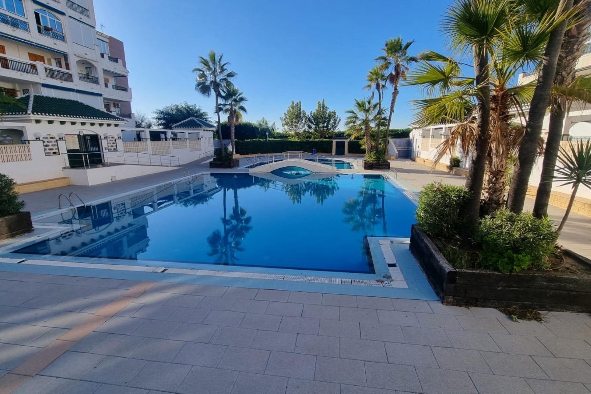 Reventa - Apartment -
Torrevieja - La Mata