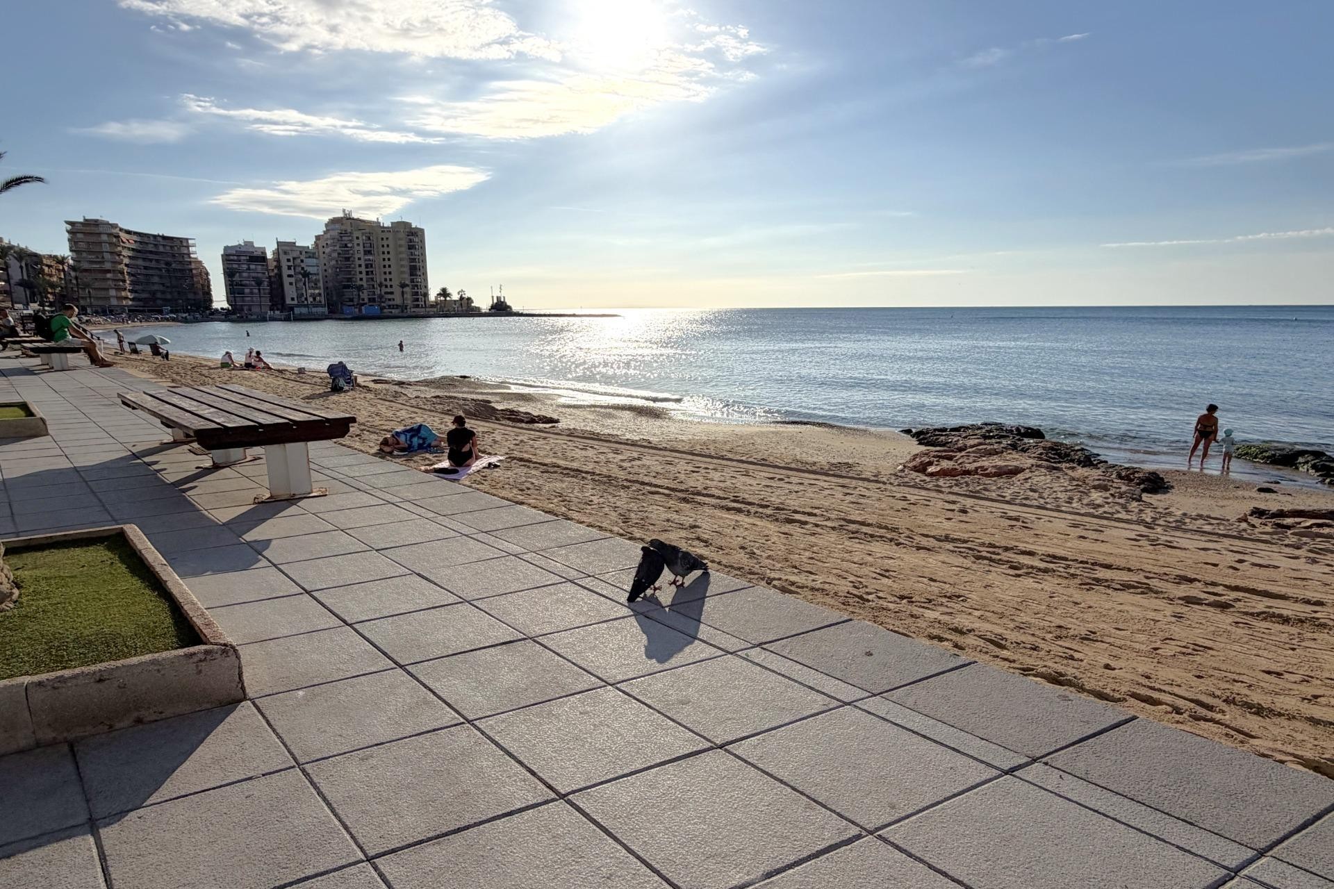 Reventa - Apartment -
Torrevieja - Las Piscinas Naturales