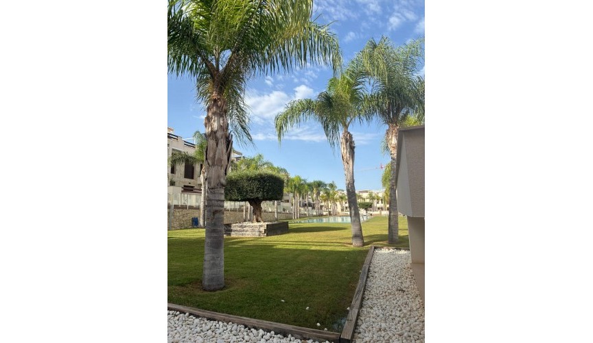 Reventa - Apartment -
Torrevieja - Los Balcones