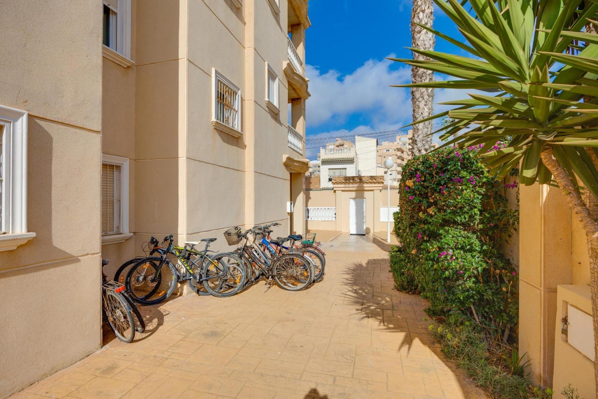 Reventa - Apartment -
Torrevieja - Nueva Torrevieja