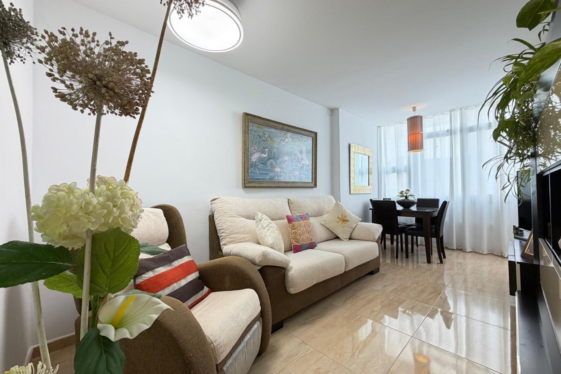 Reventa - Apartment -
Torrevieja - Paseo Maritimo