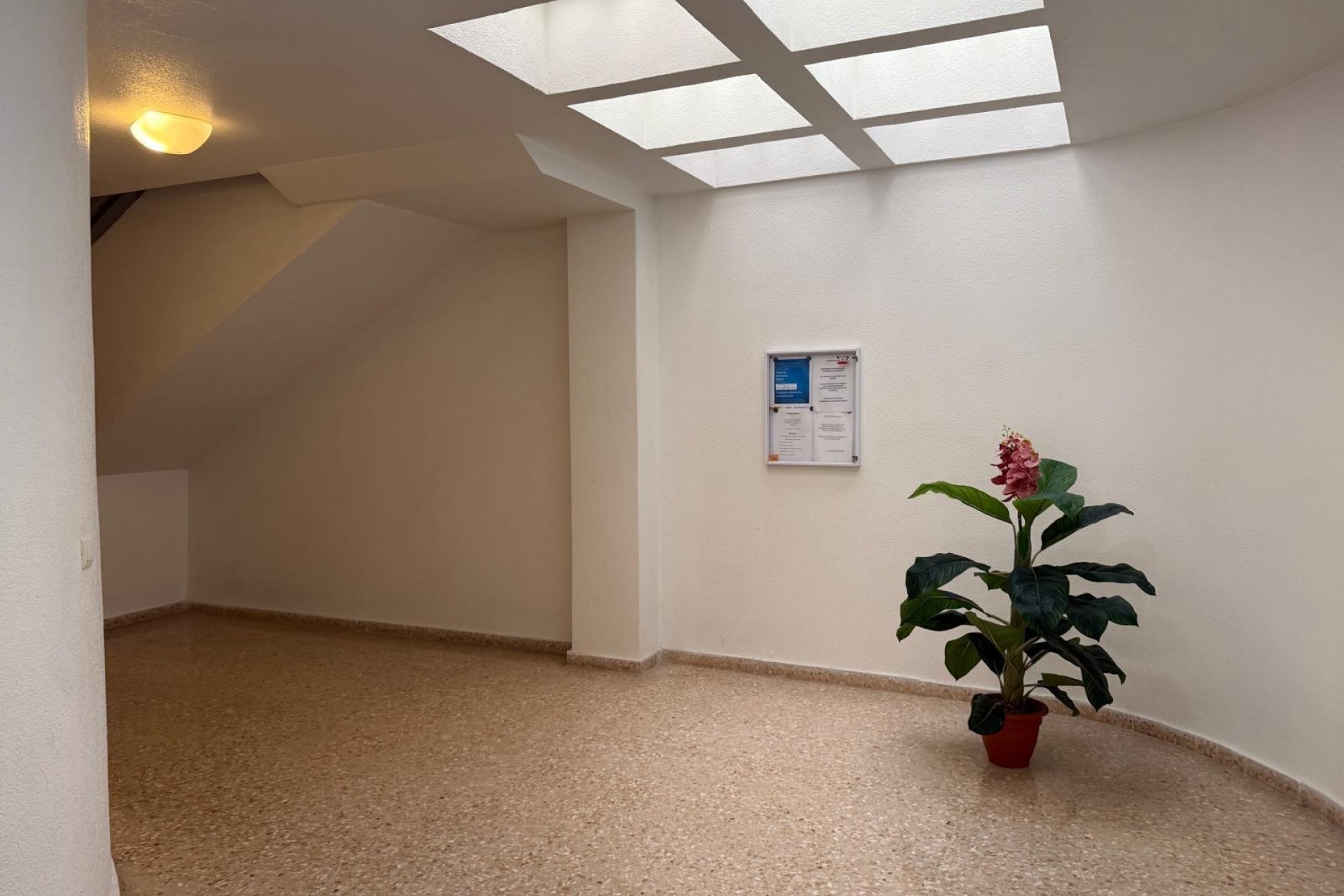 Reventa - Apartment -
Torrevieja - Playa de los Locos