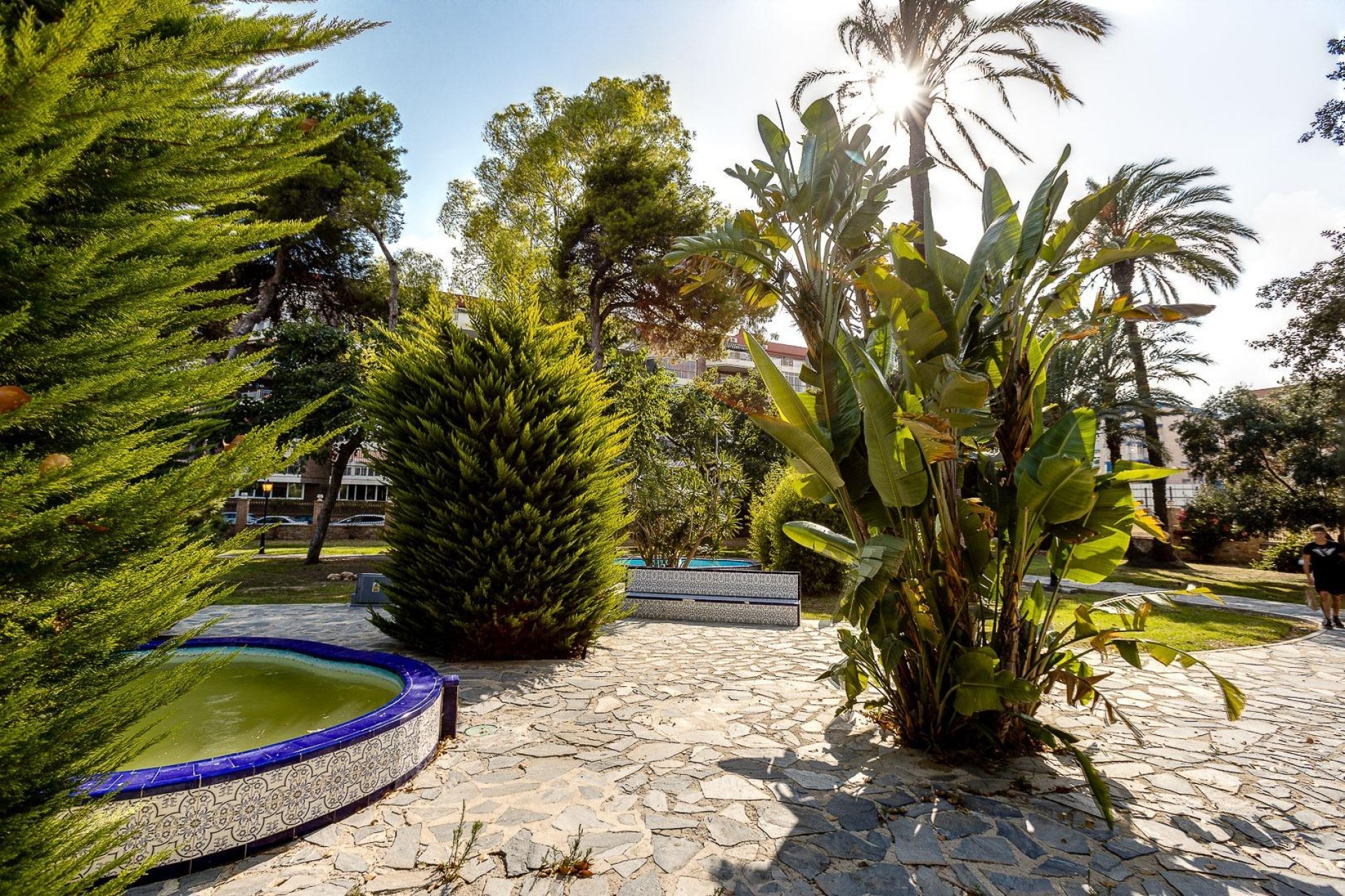 Reventa - Apartment -
Torrevieja - Playa De Los Naufragos