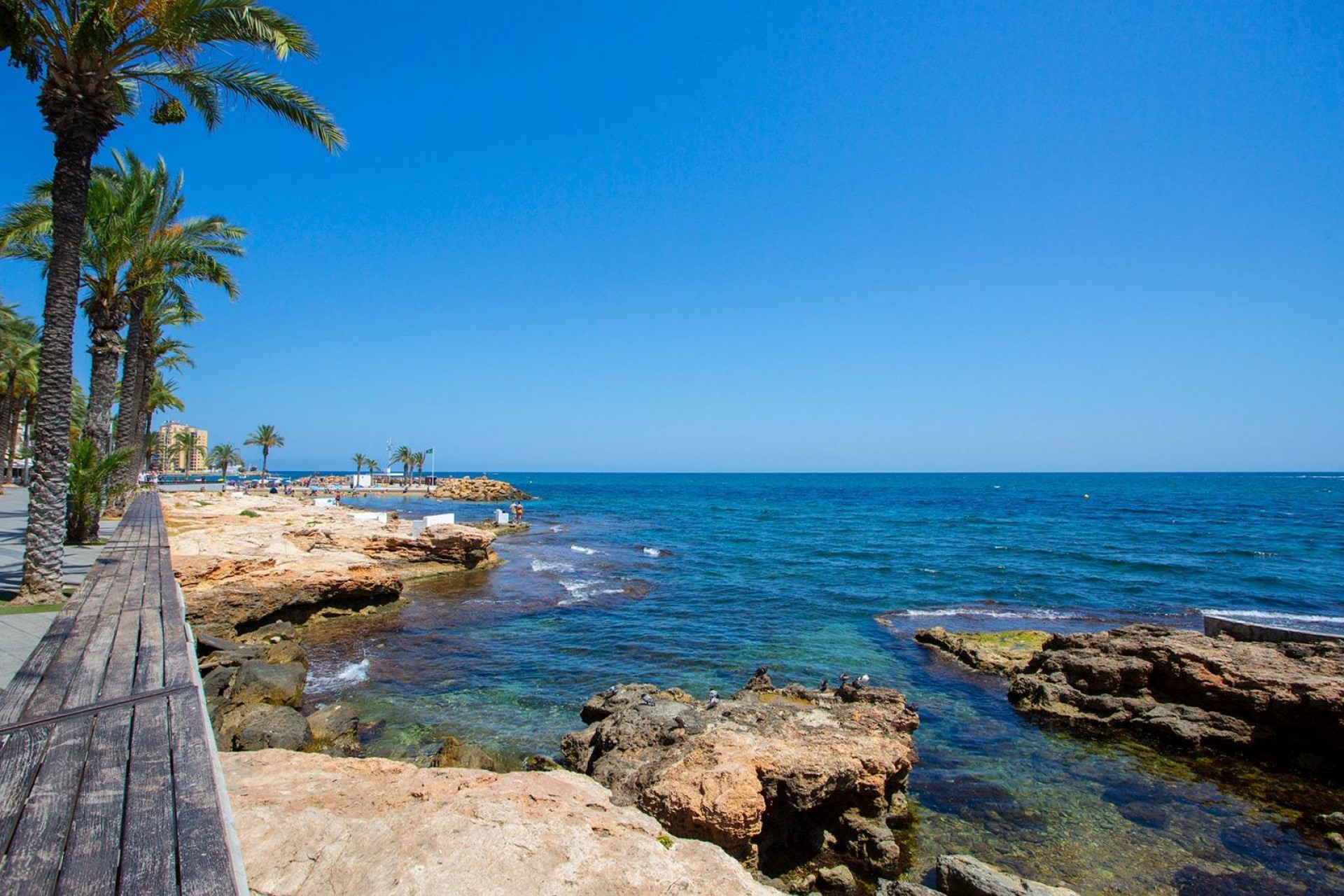 Reventa - Apartment -
Torrevieja - Playa del Cura