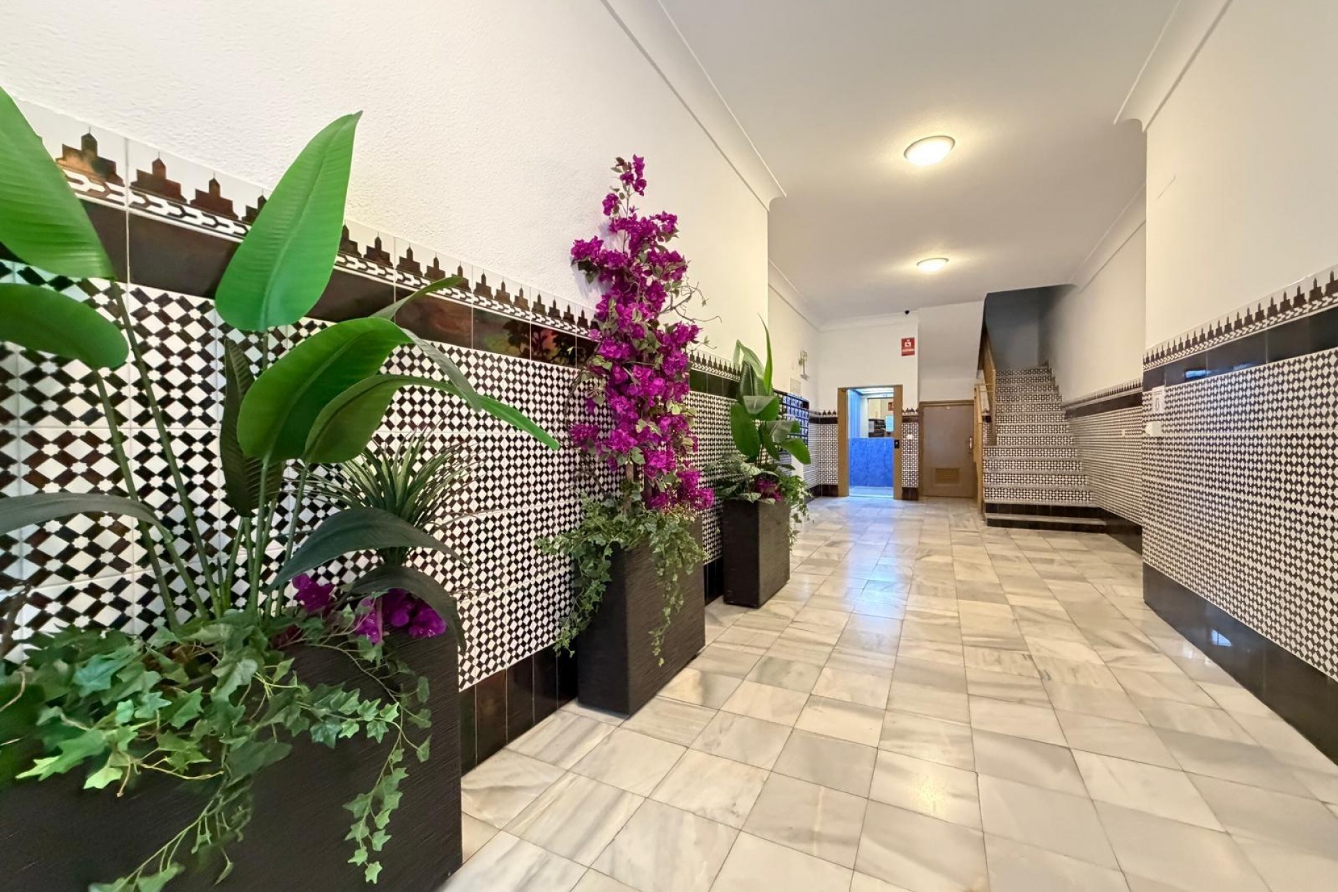 Reventa - Apartment -
Torrevieja - Playa del Cura