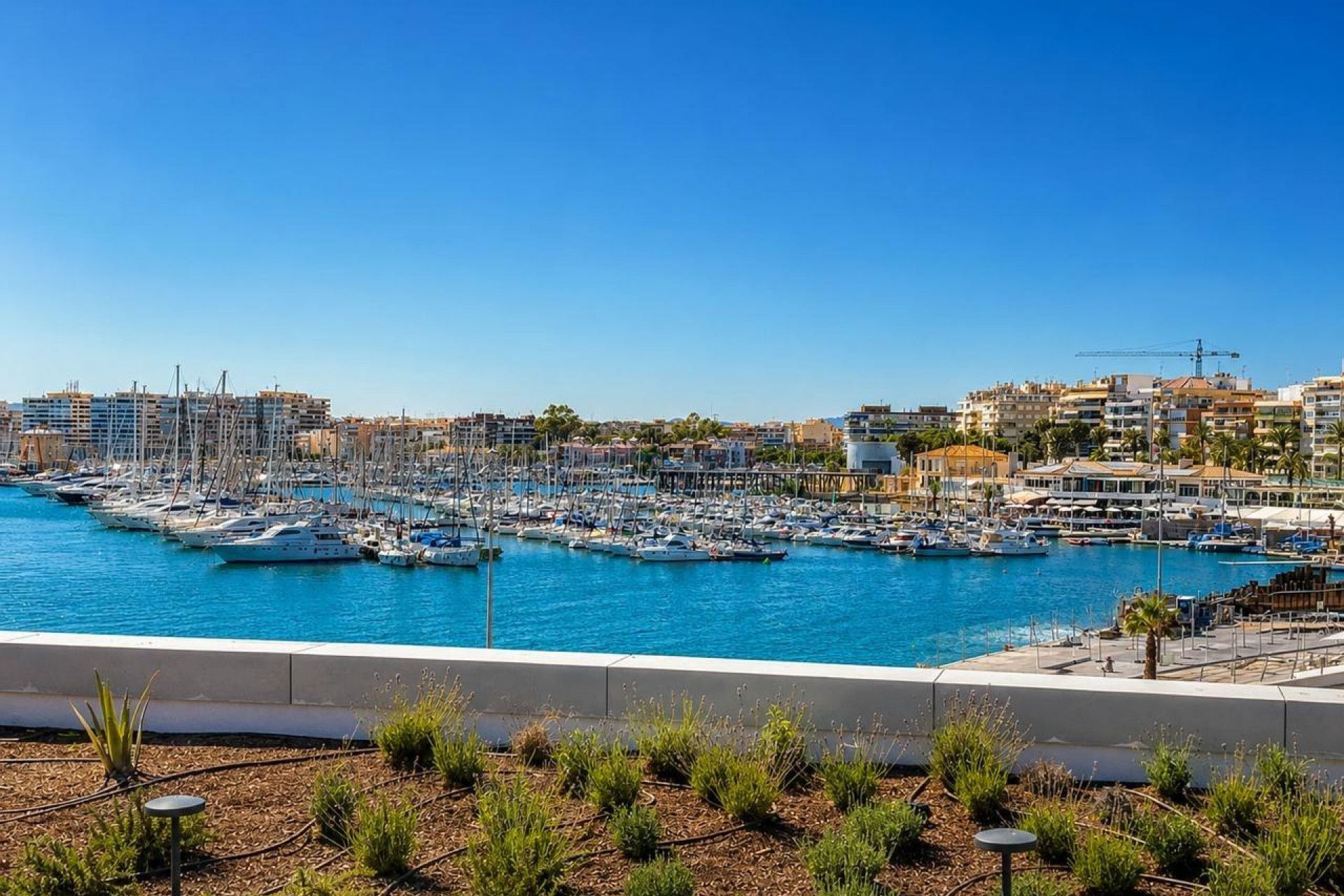 Reventa - Apartment -
Torrevieja - Playa del Cura