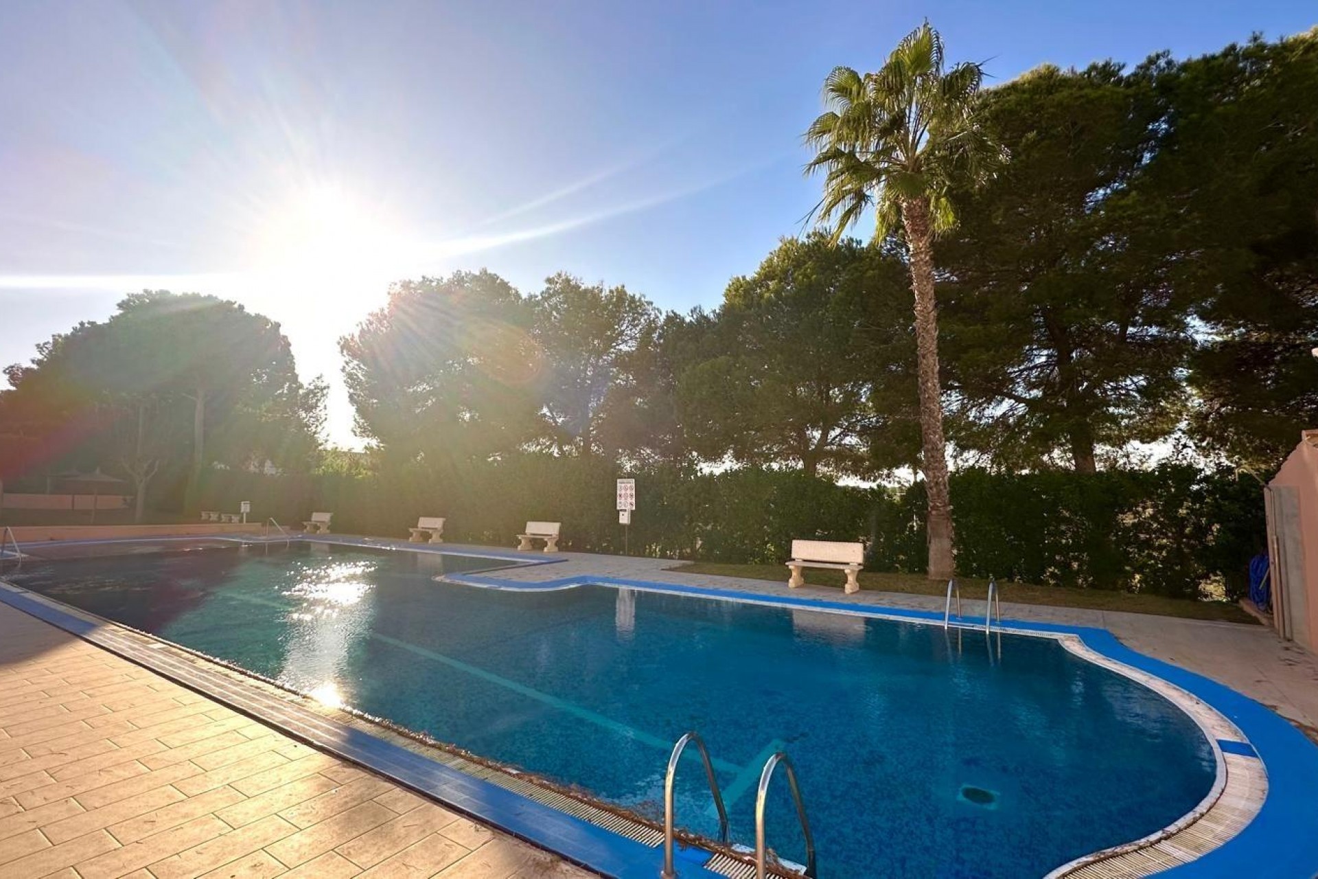 Reventa - Apartment -
Torrevieja - Torreblanca