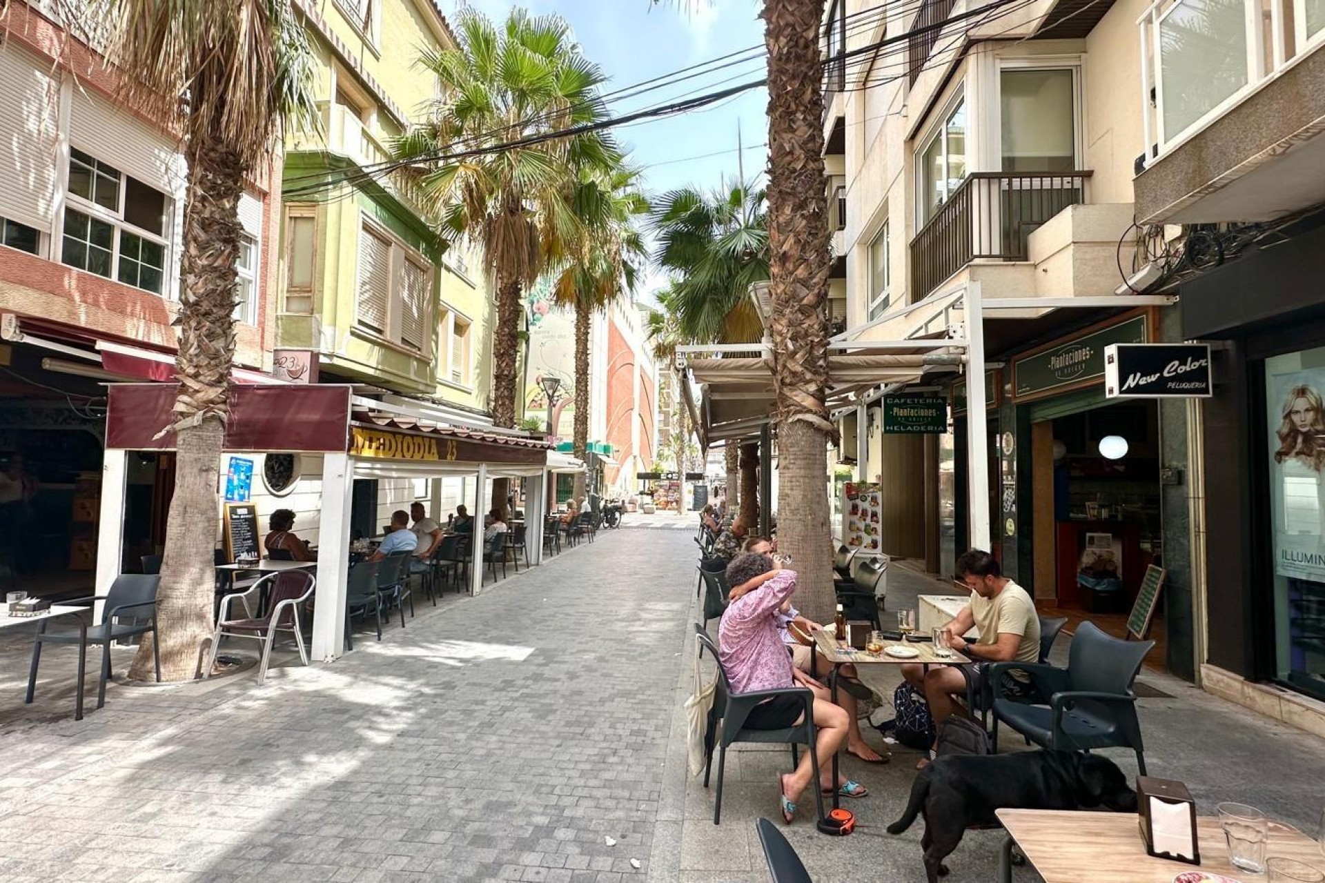 Reventa - Apartment -
Torrevieja