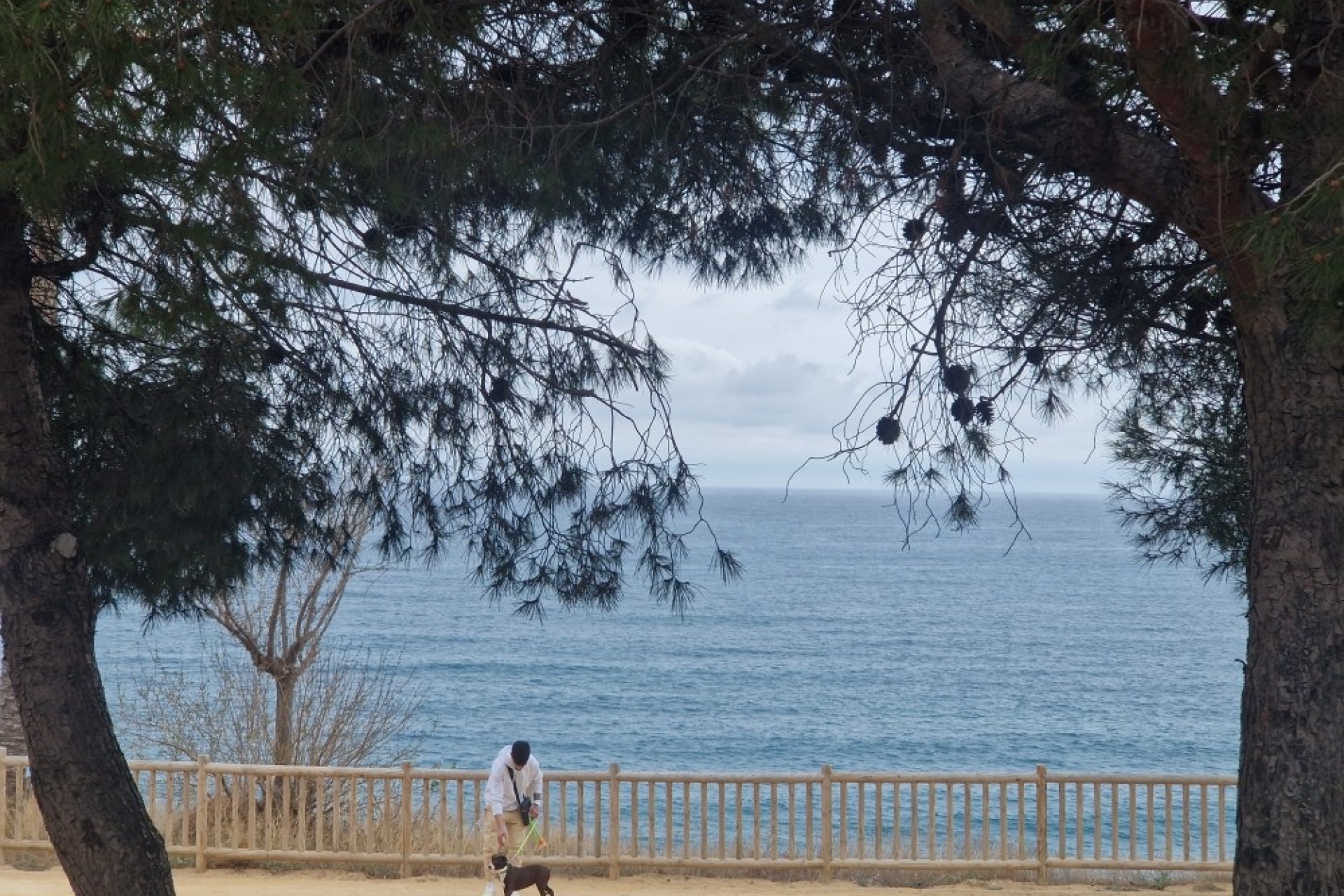 Reventa - Apartment -
Villajoyosa - Costa Blanca