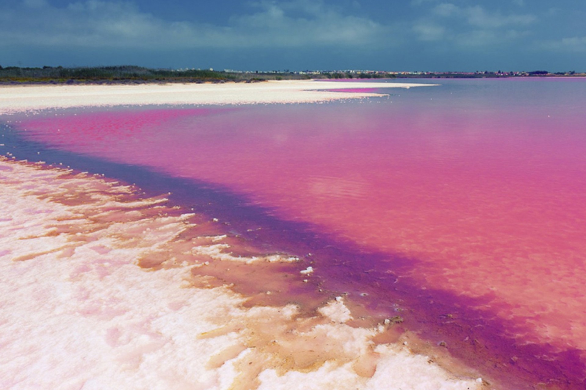 Reventa - Apartment -
Villamartin - Costa Blanca