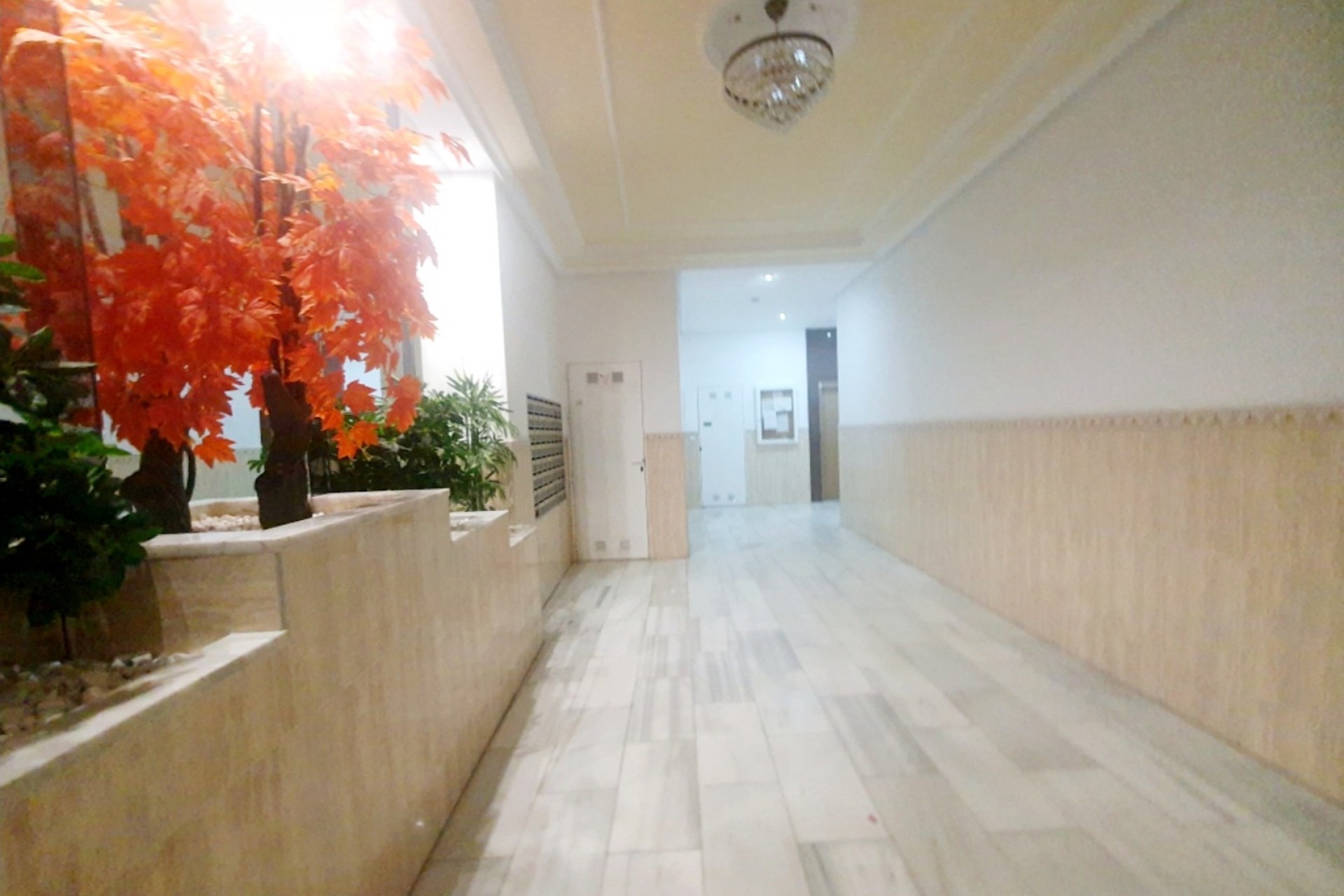 Reventa - Ático -
Torrevieja - Costa Blanca