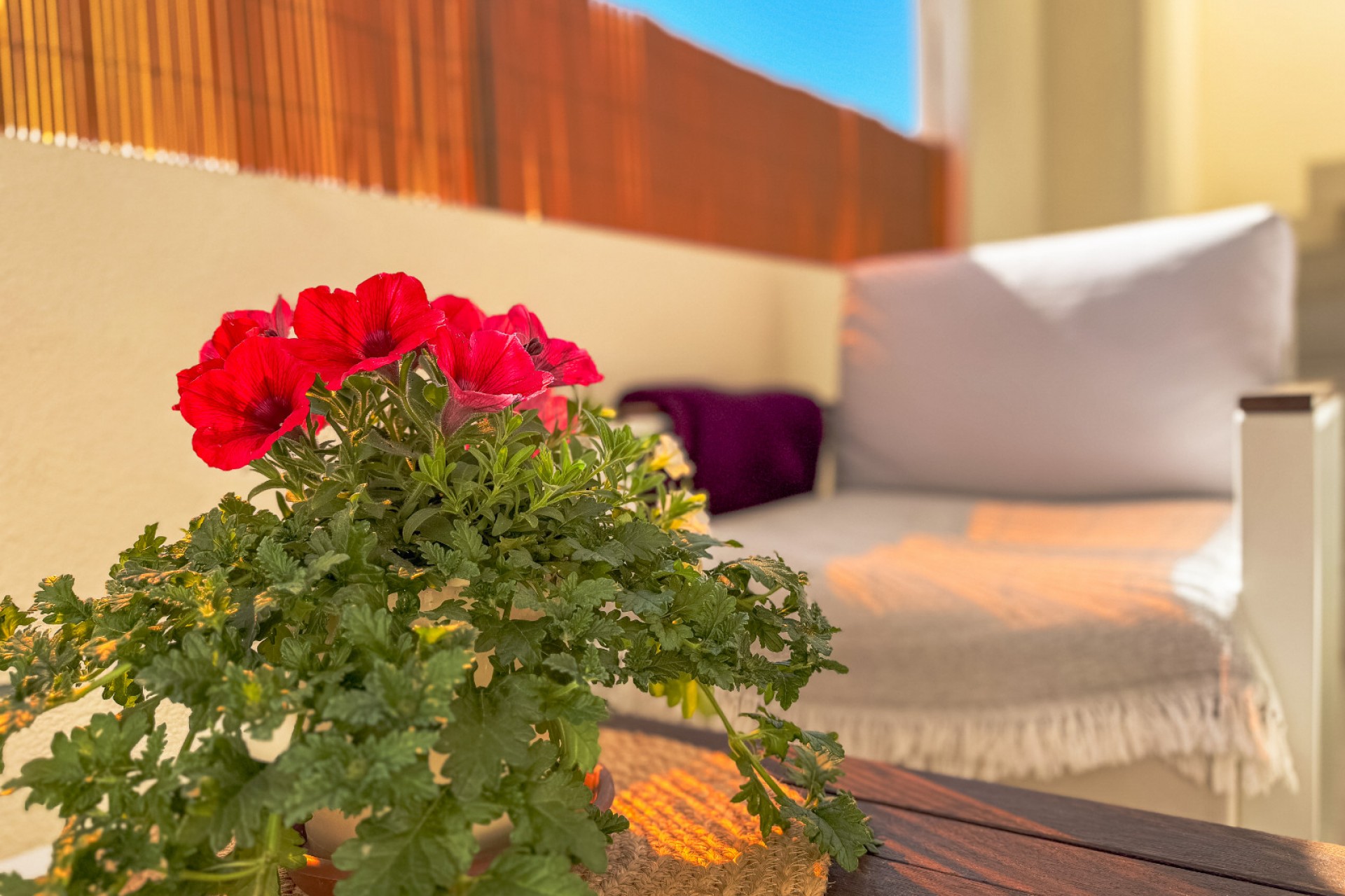 Reventa - Bungalow -
Los Altos - Costa Blanca