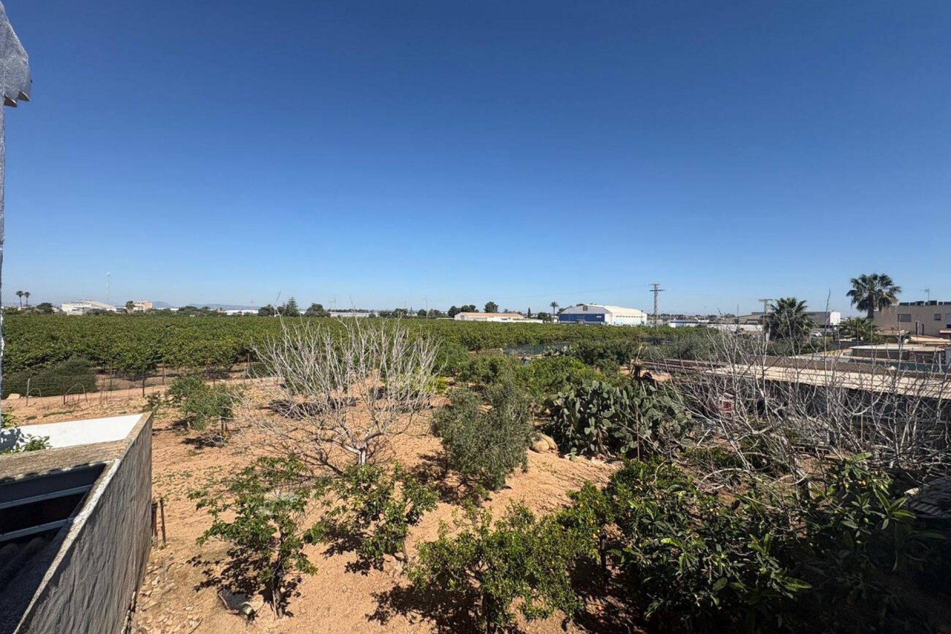 Reventa - Bungalow -
San Pedro del Pinatar - Costa Calida