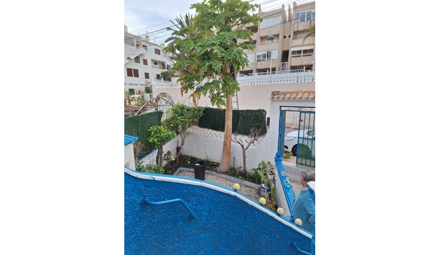 Reventa - Bungalow -
Torrevieja - Cabo Cervera