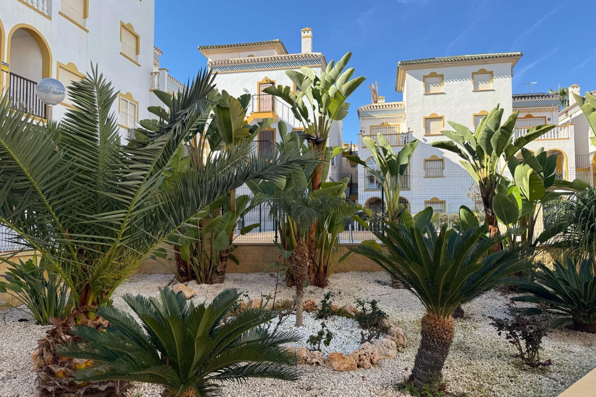 Reventa - Bungalow -
Torrevieja - Cañada Del Molino