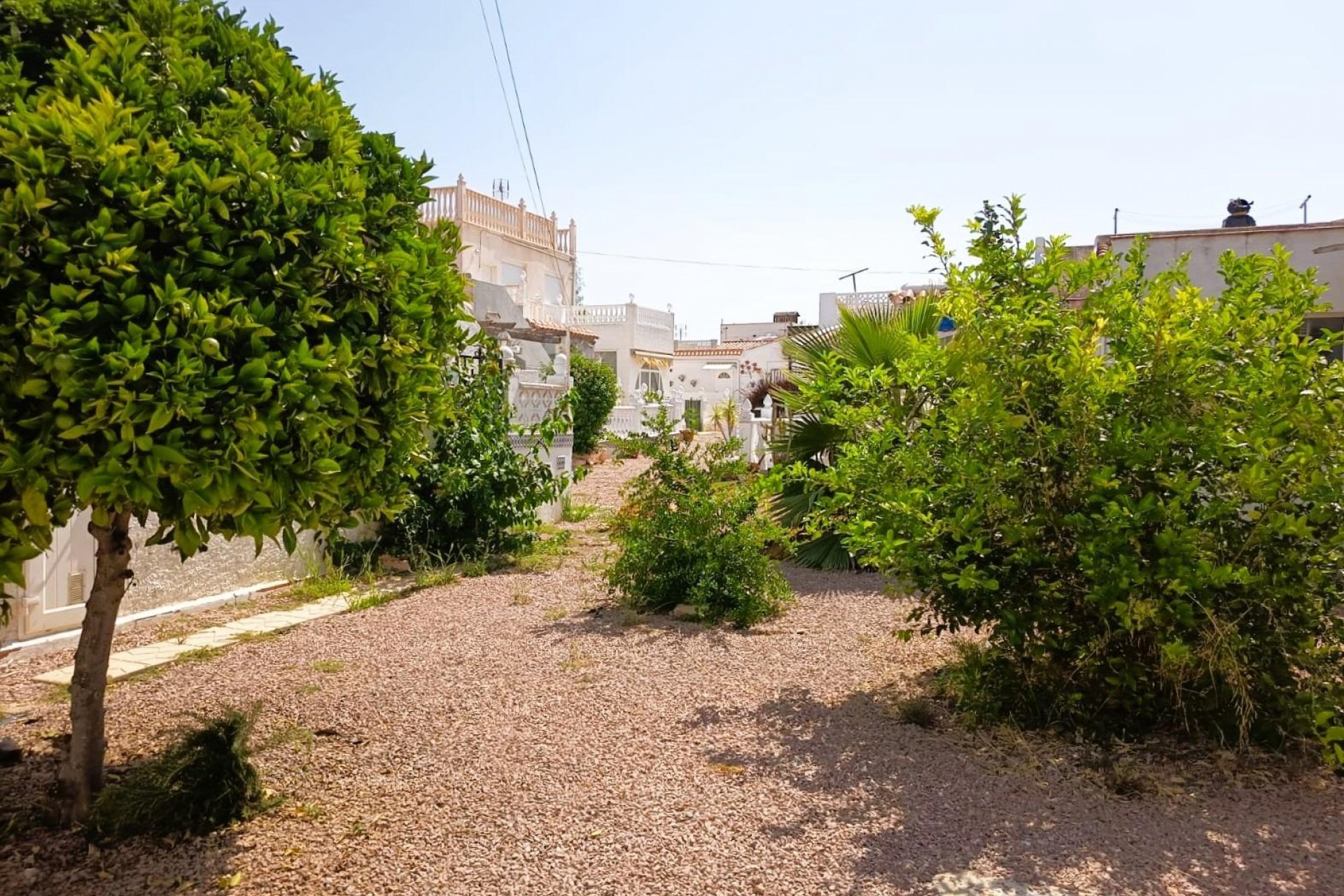 Reventa - Bungalow -
Torrevieja - Costa Blanca