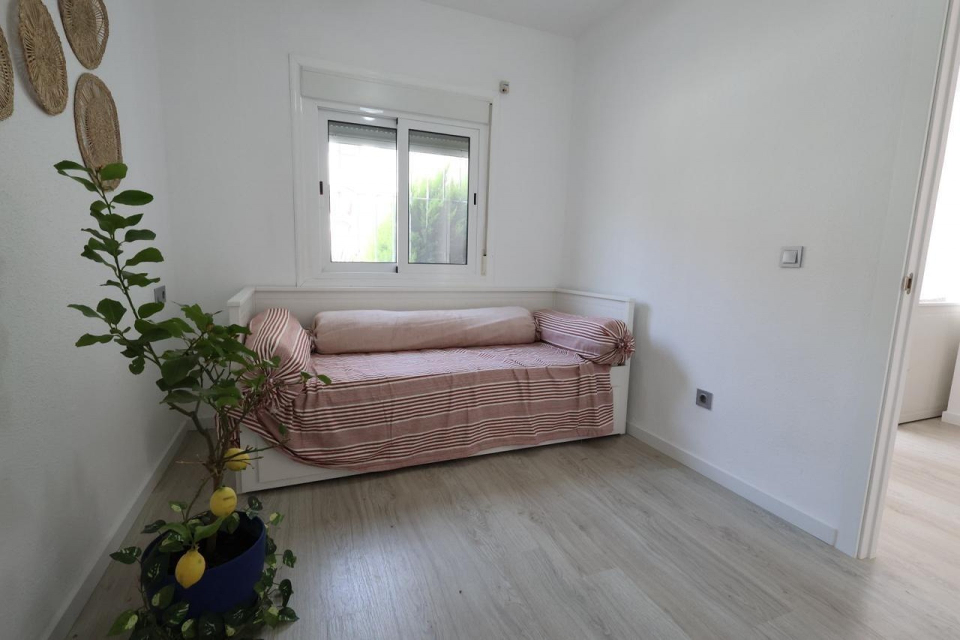Reventa - Bungalow -
Torrevieja - Costa Blanca