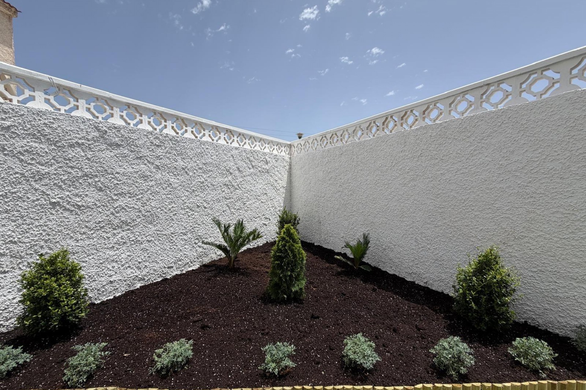 Reventa - Bungalow -
Torrevieja - El Limonar