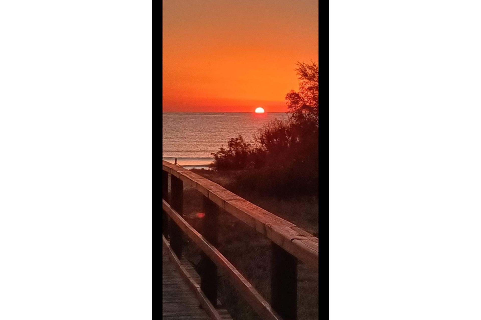 Reventa - Bungalow -
Torrevieja - La Mata