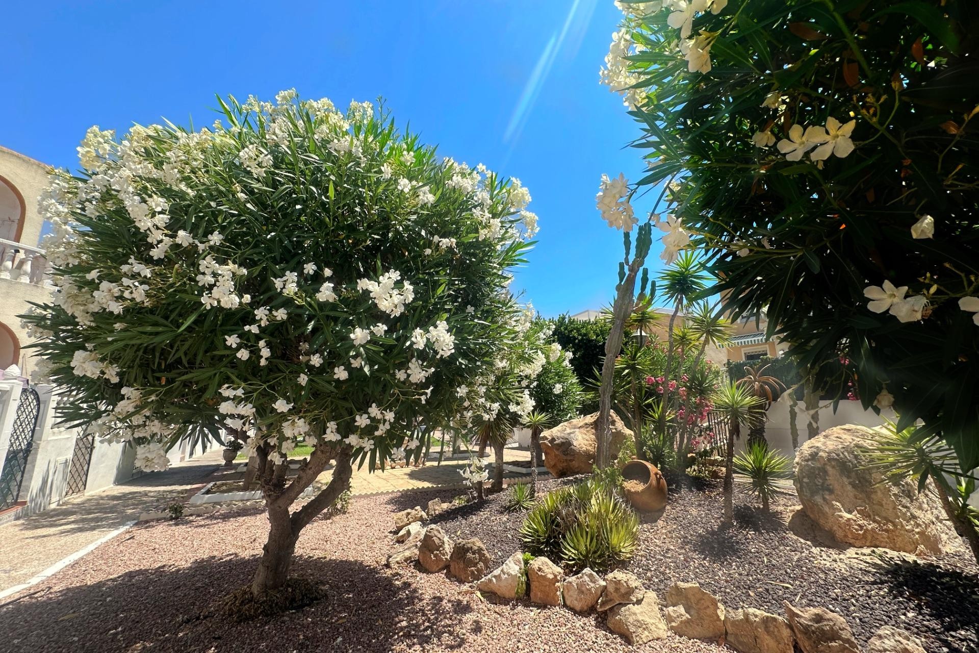 Reventa - Bungalow -
Torrevieja - La Mata