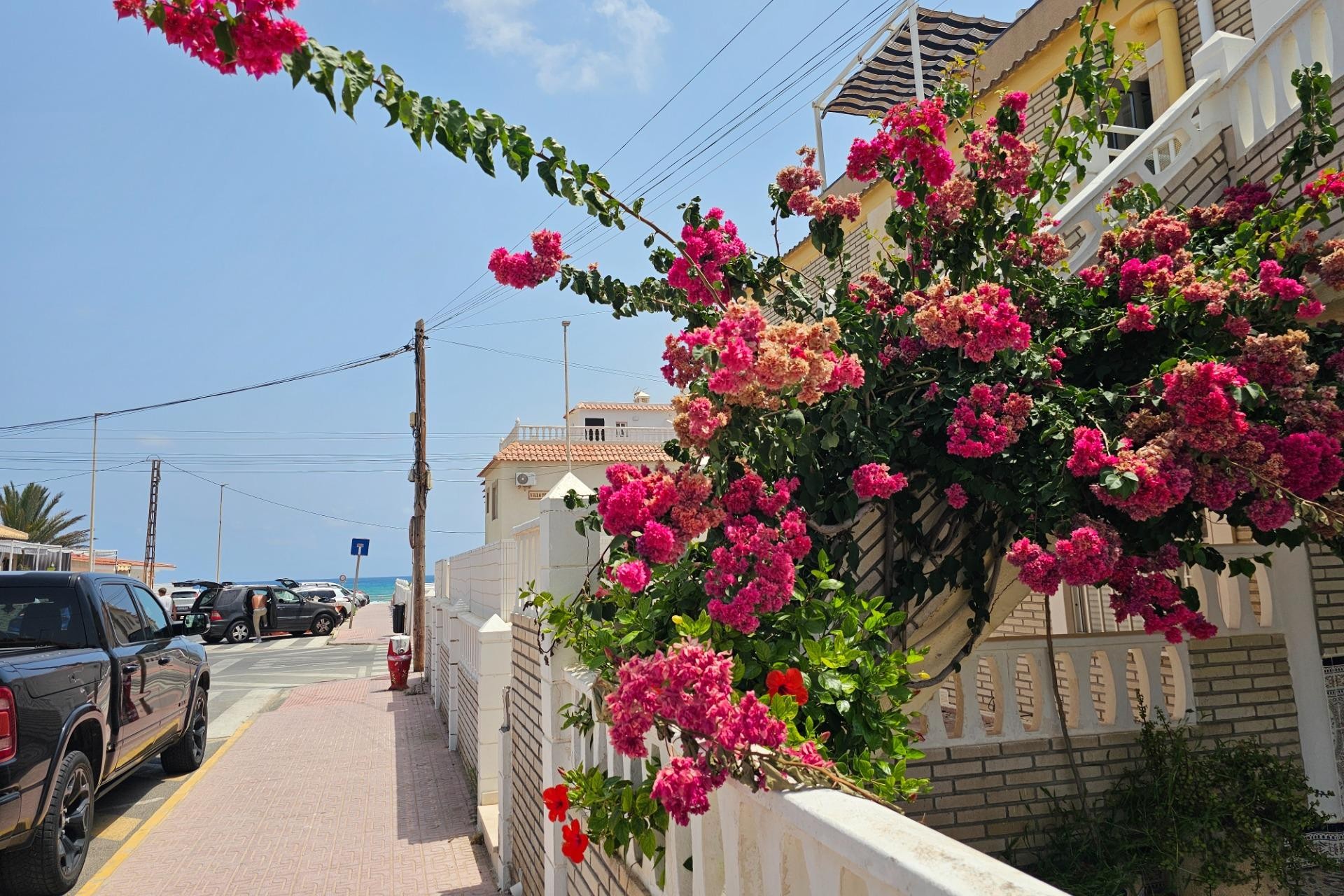 Reventa - Bungalow -
Torrevieja - Los Europeos