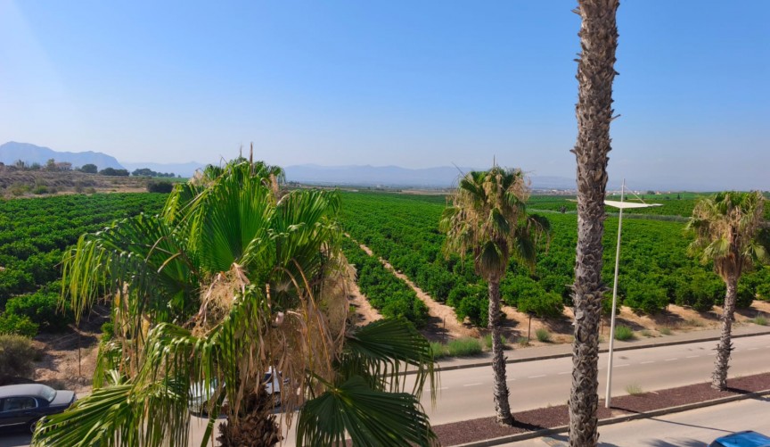 Reventa - Duplex -
Algorfa - Inland