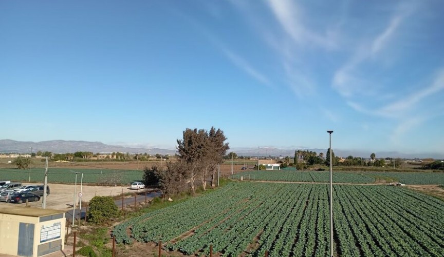 Reventa - Duplex -
Daya Vieja - Costa Blanca