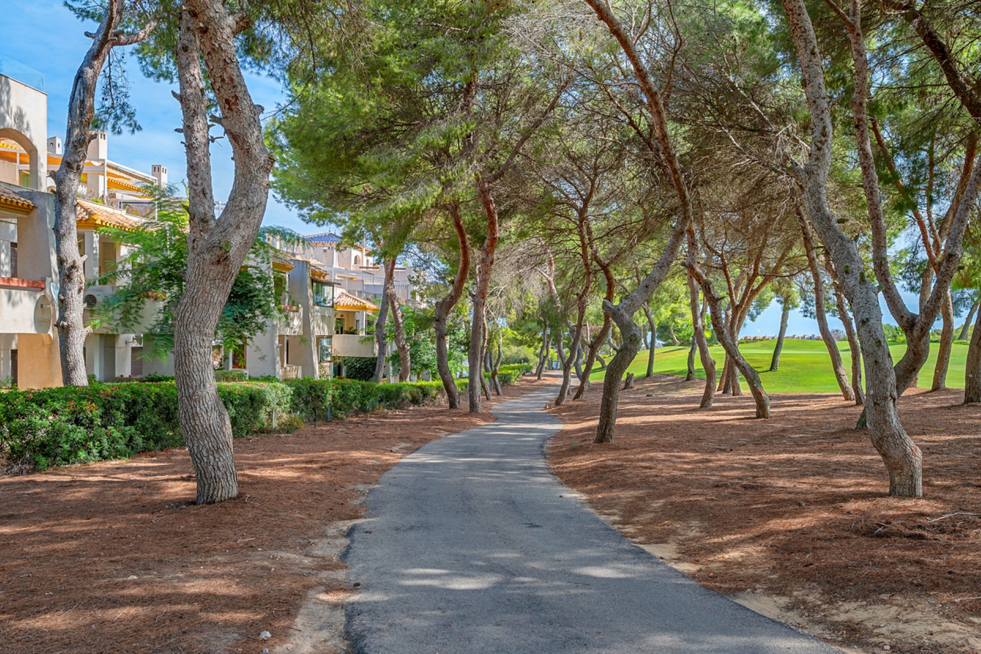 Reventa - Duplex Penthouse -
Dehesa de Campoamor - Costa Blanca