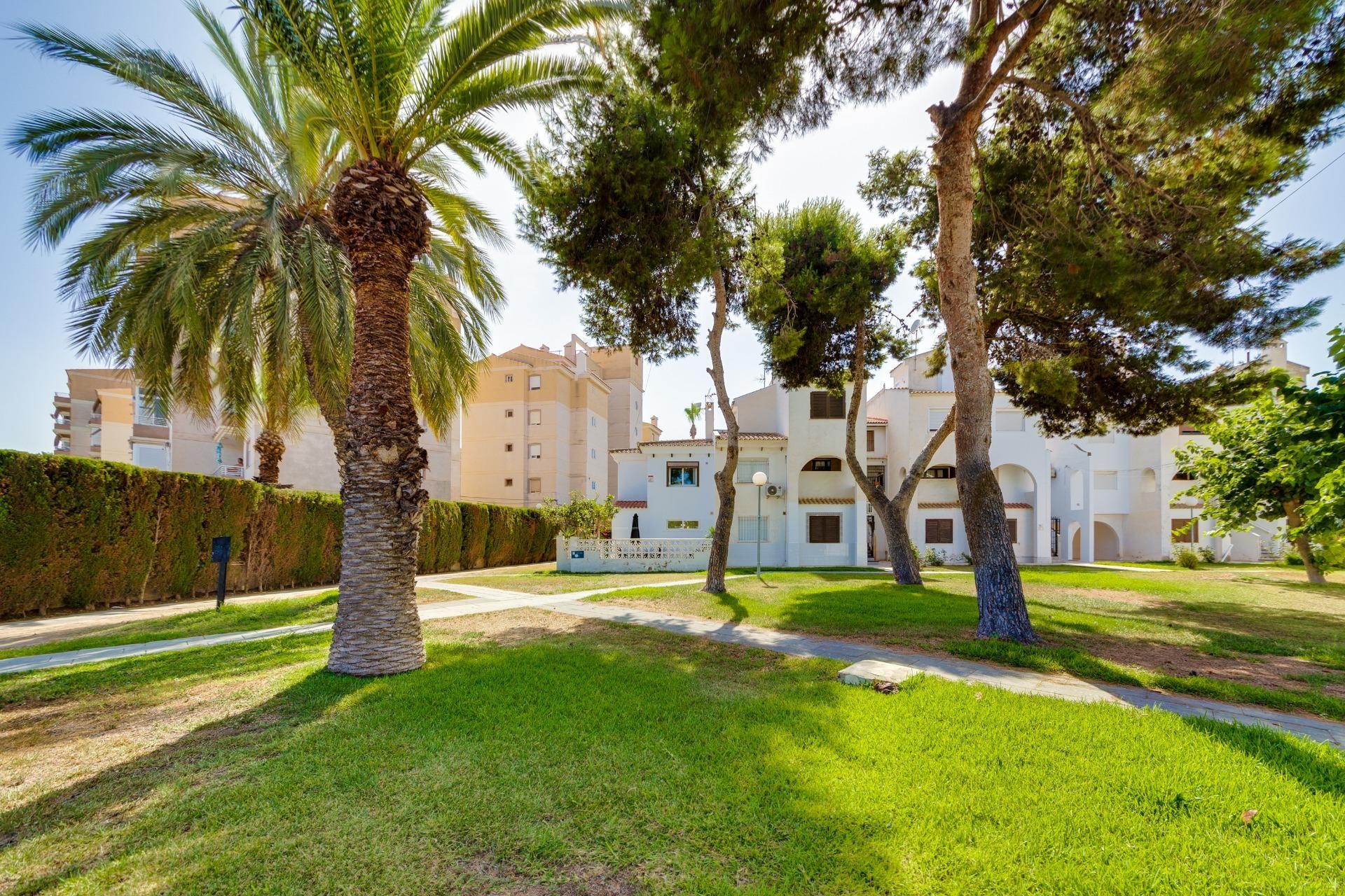 Reventa - Duplex -
Torrevieja - Calas Blanca