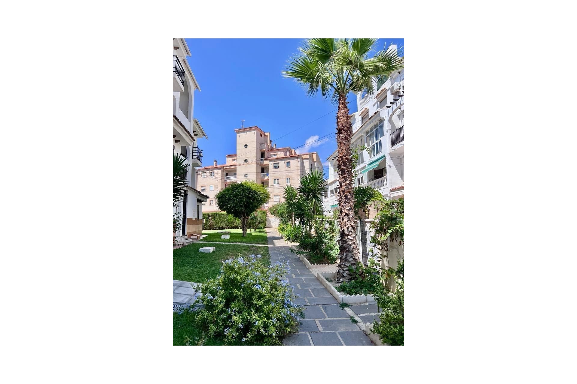 Reventa - Duplex -
Torrevieja - Calas Blanca