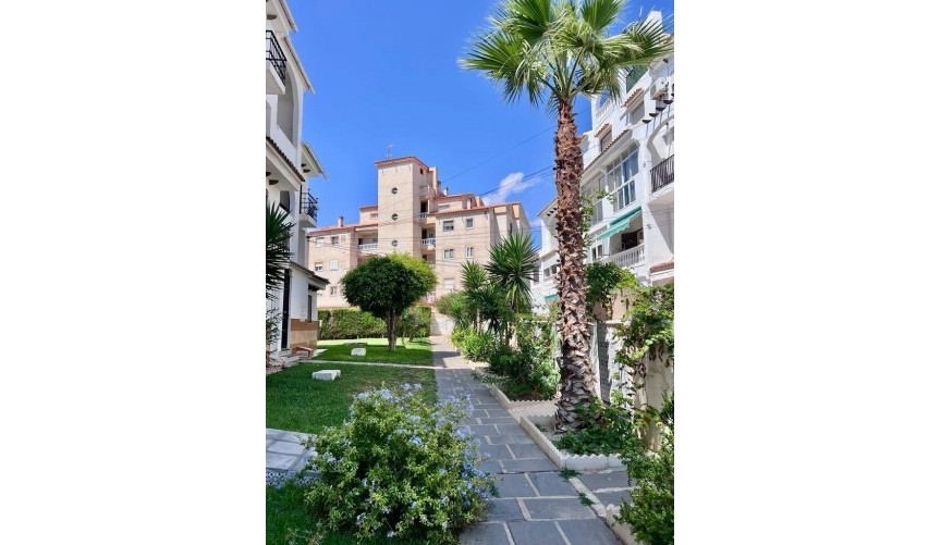 Reventa - Duplex -
Torrevieja - Playa del Cura
