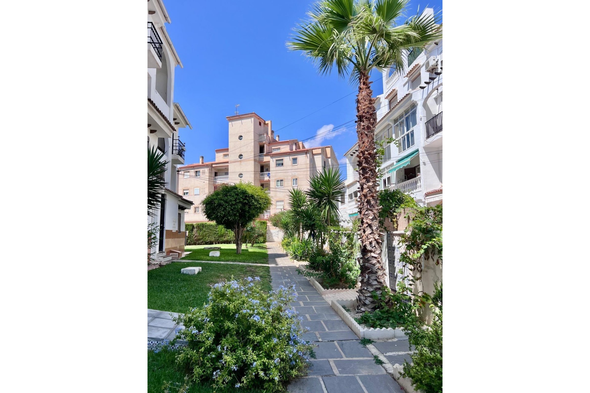 Reventa - Duplex -
Torrevieja - Playa del Cura