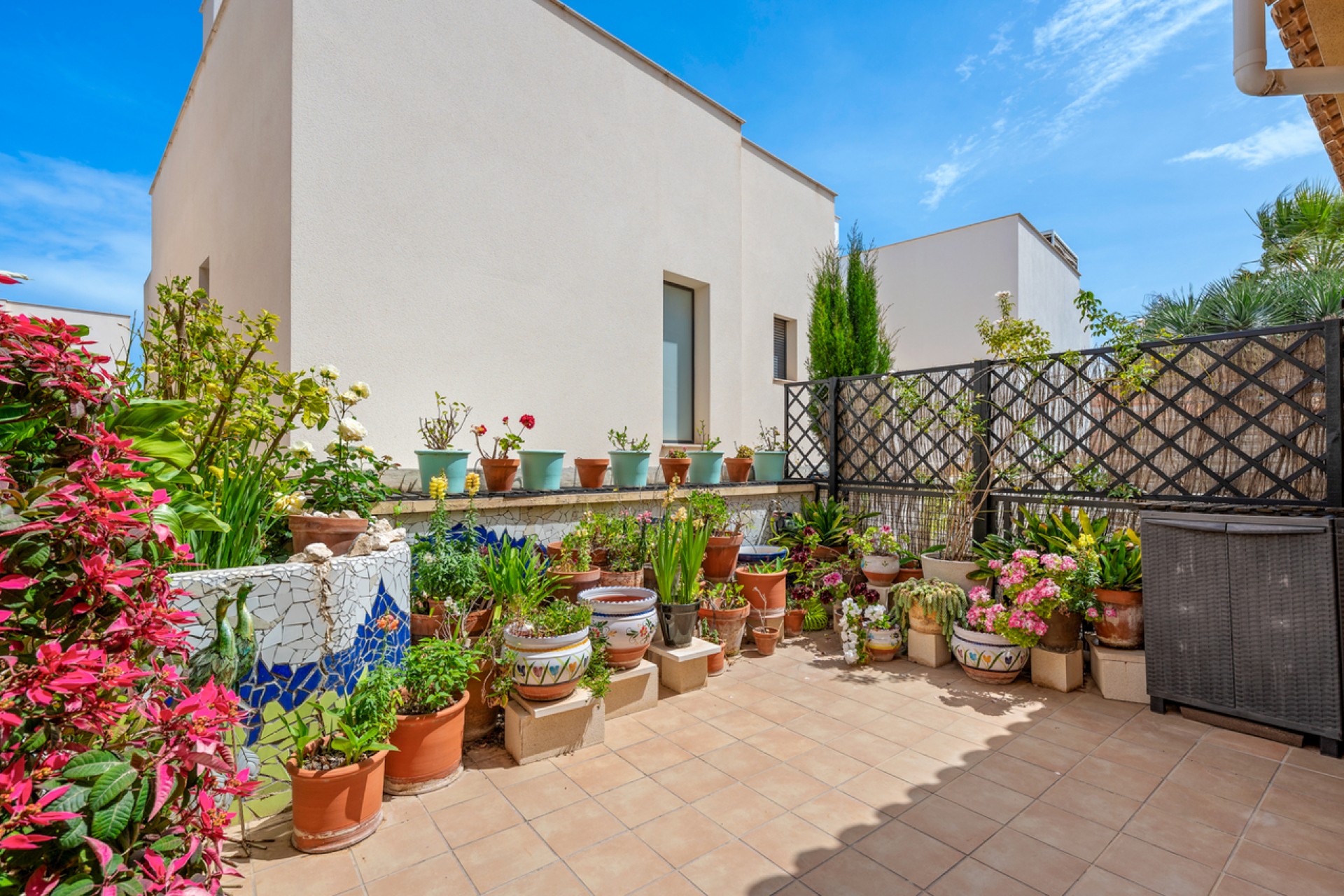 Reventa - Town House -
San Miguel de Salinas - Inland