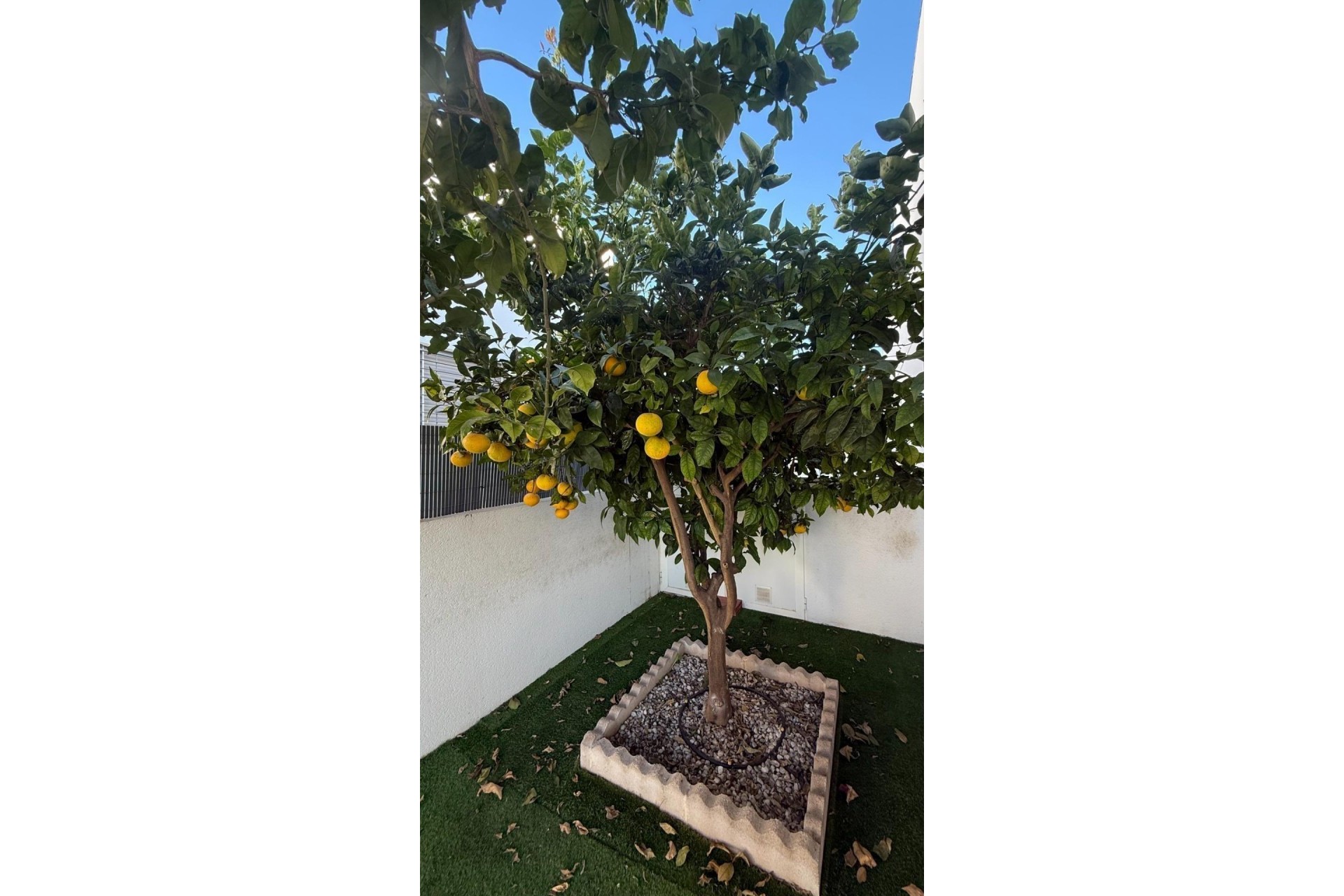 Reventa - Town House -
Torrevieja - aguas nuevas