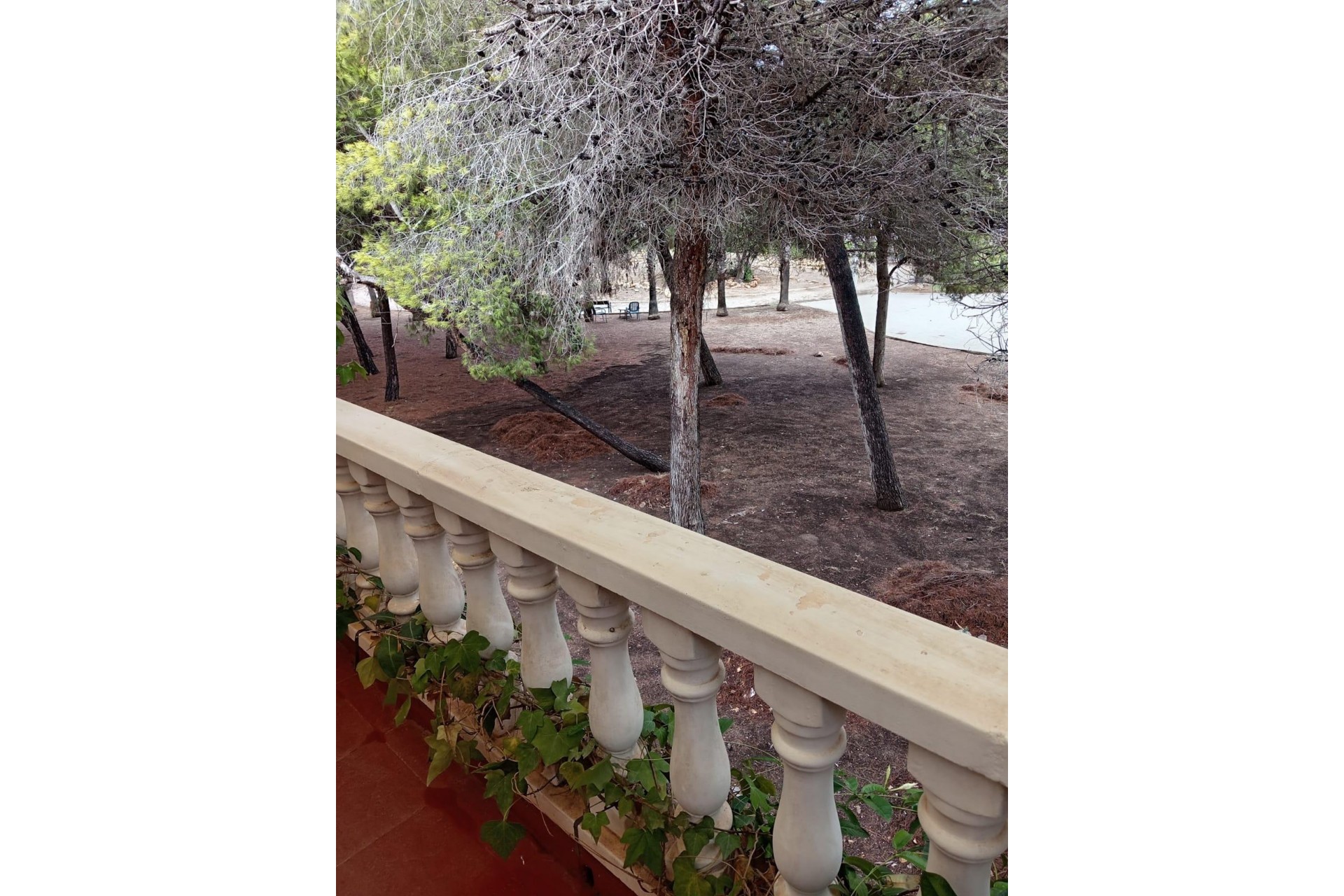 Reventa - Town House -
Torrevieja - Costa Blanca