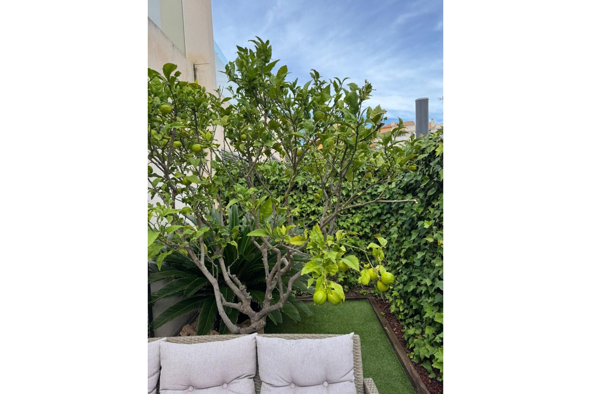 Reventa - Town House -
Torrevieja - Punta Prima