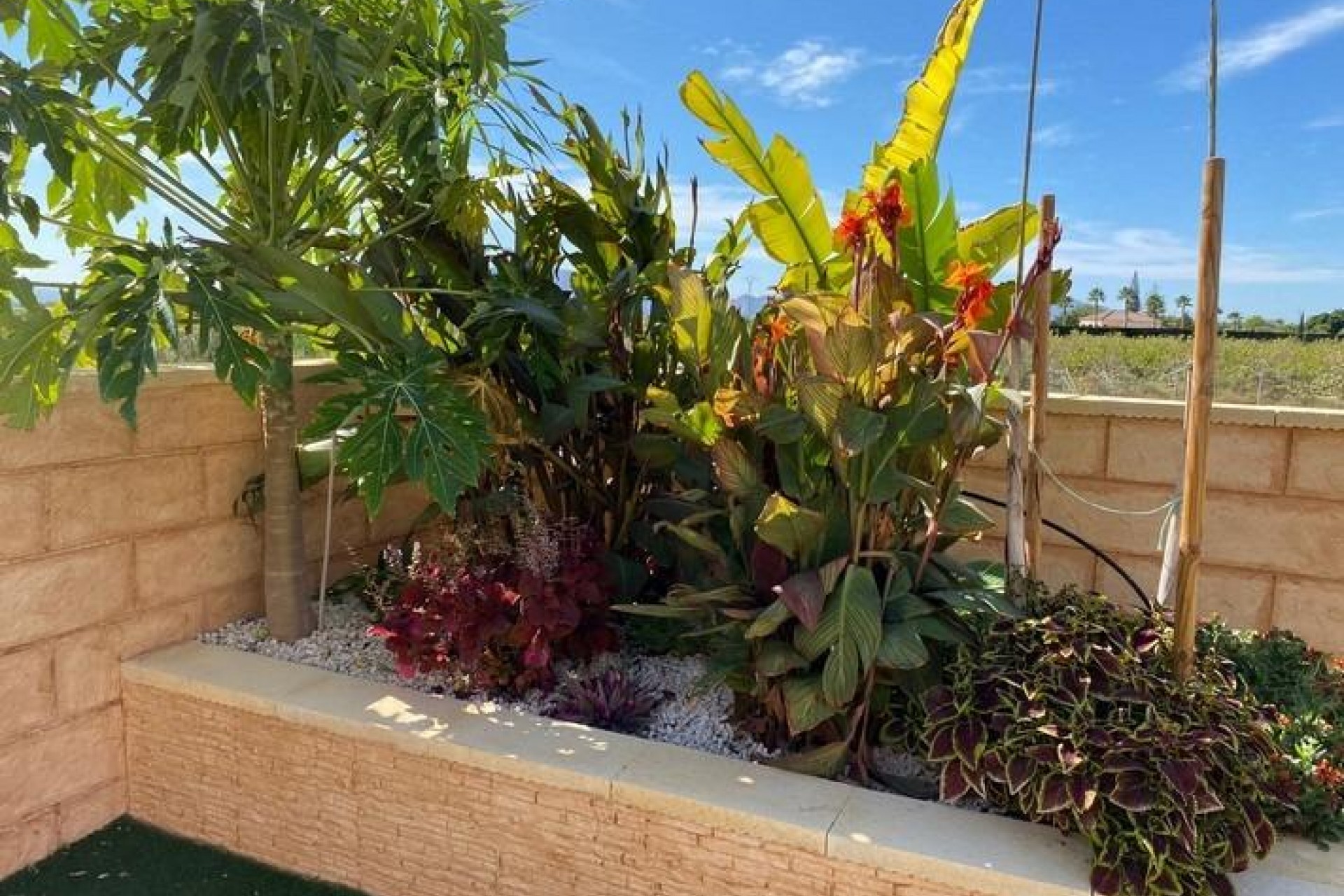 Reventa - Villa -
Albatera - Campo De Albatera