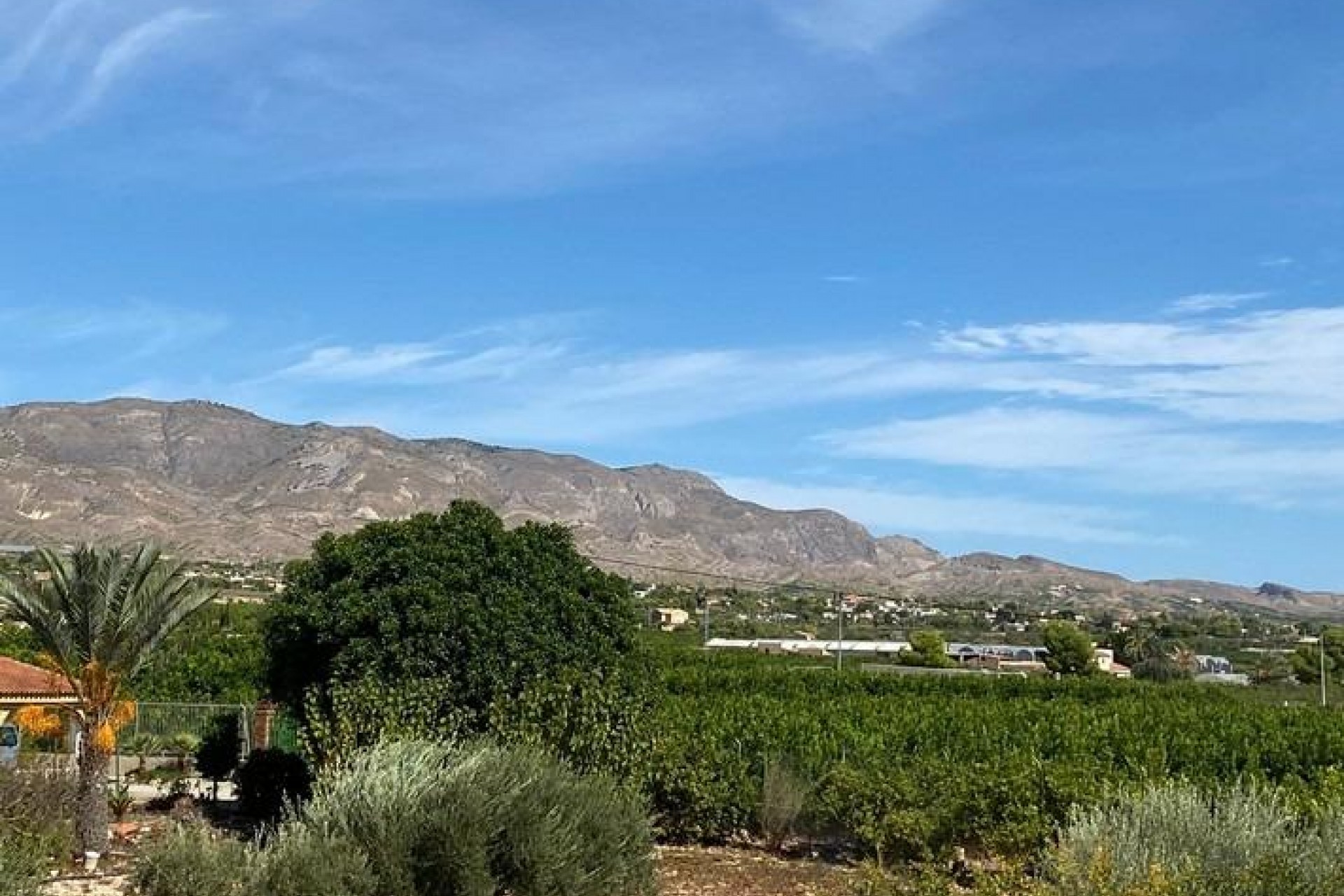 Reventa - Villa -
Albatera - Campo De Albatera