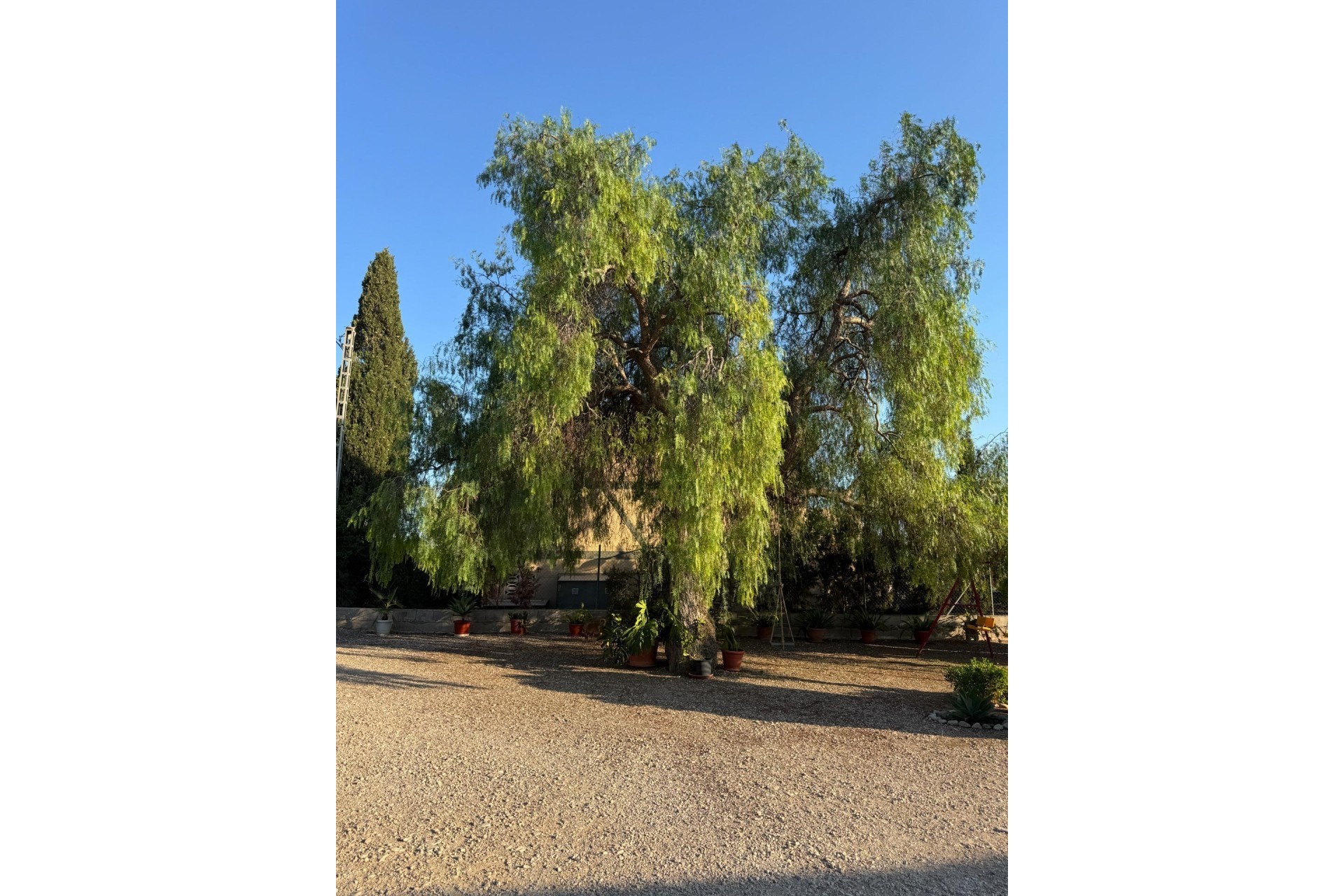 Reventa - Villa -
Albatera - Partida Lomas