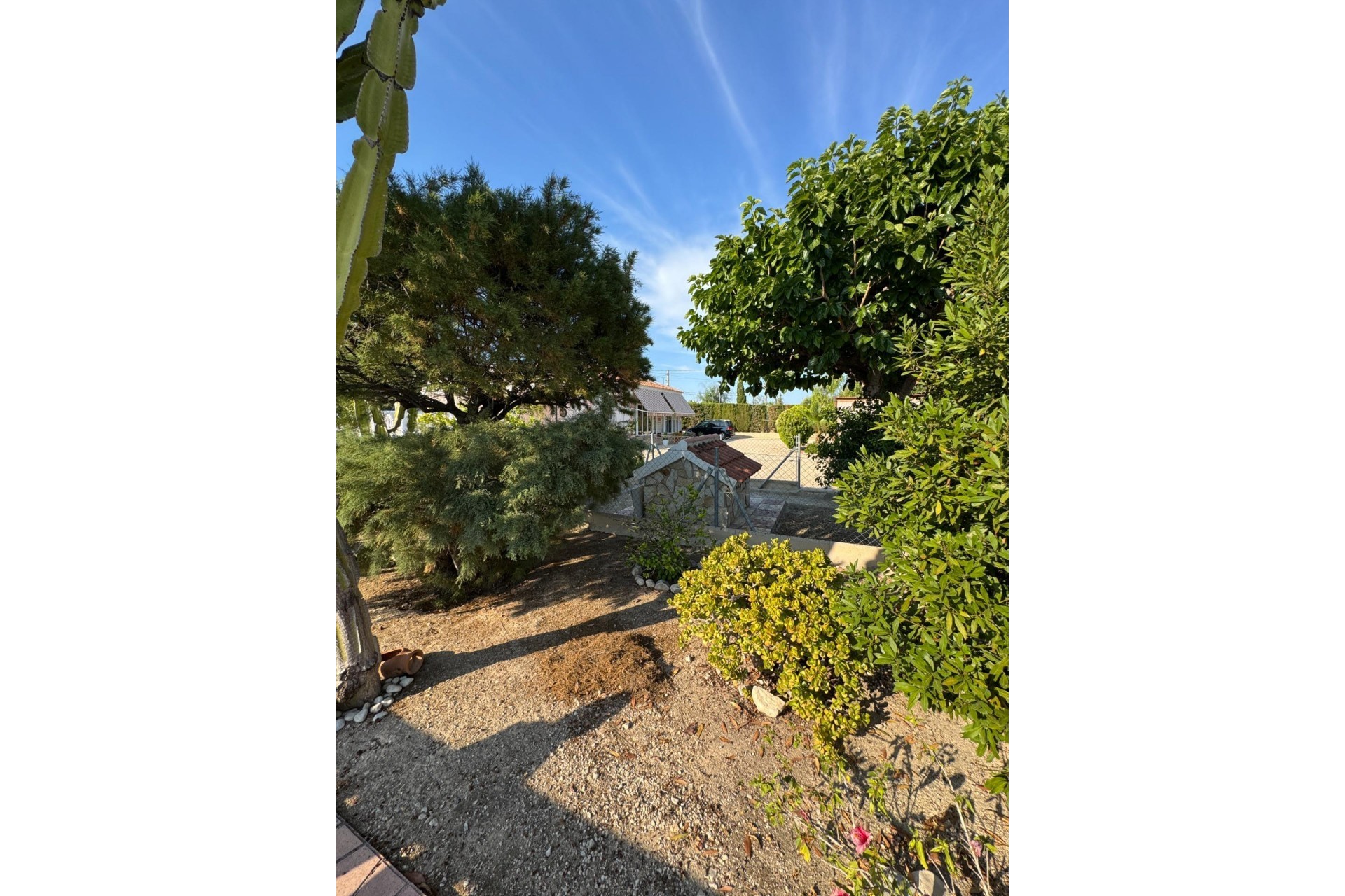 Reventa - Villa -
Albatera - Partida Lomas