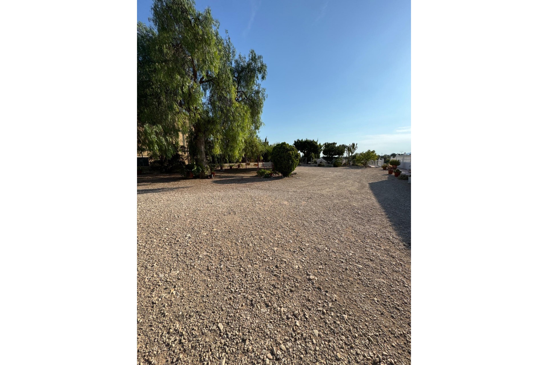 Reventa - Villa -
Albatera - Partida Lomas