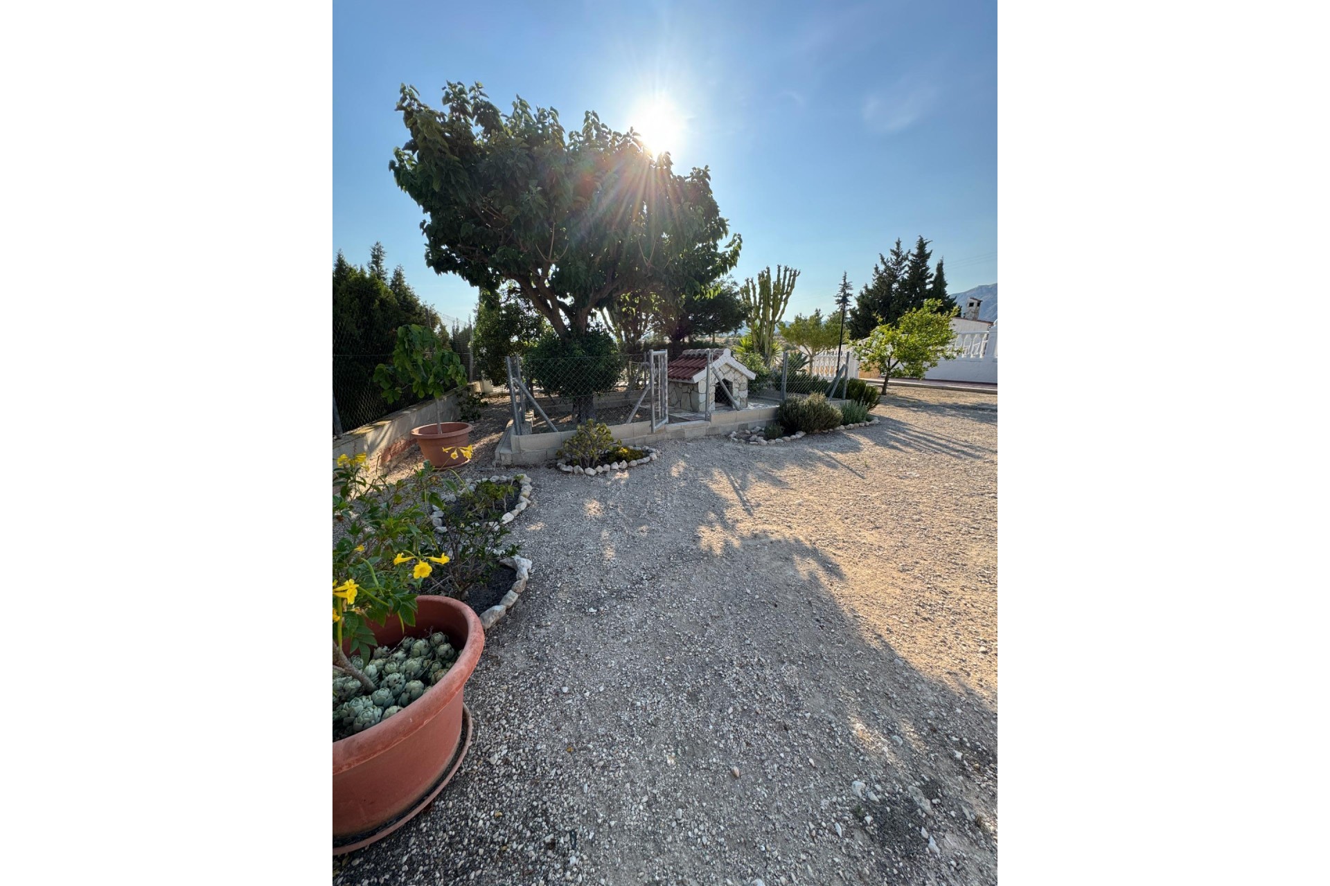 Reventa - Villa -
Albatera - Partida Lomas