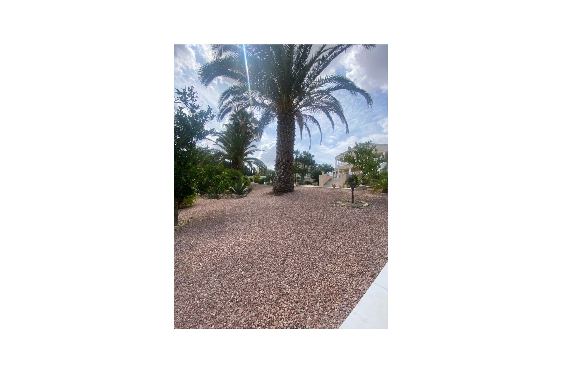 Reventa - Villa -
Algorfa - Inland