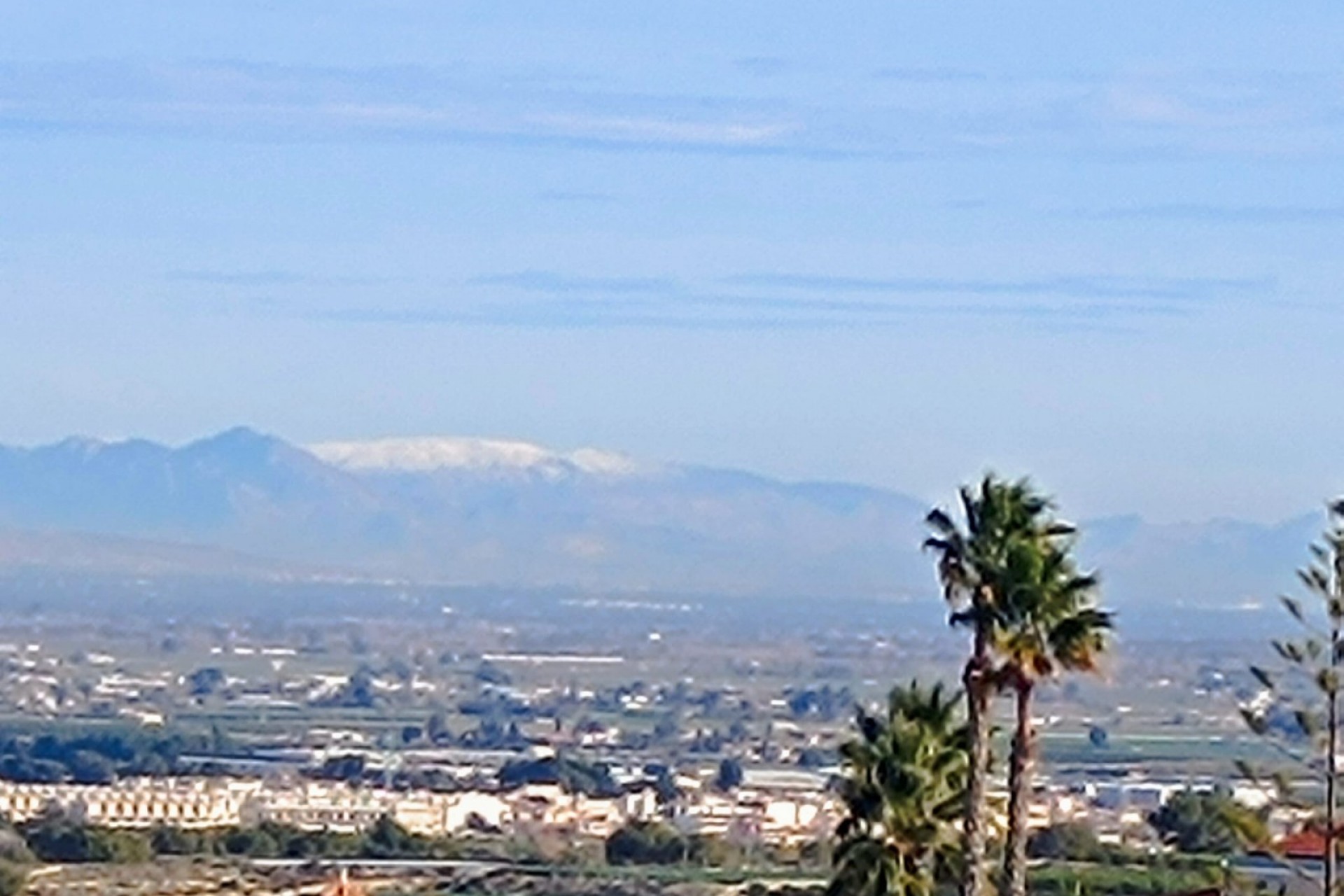 Reventa - Villa -
Algorfa - Inland