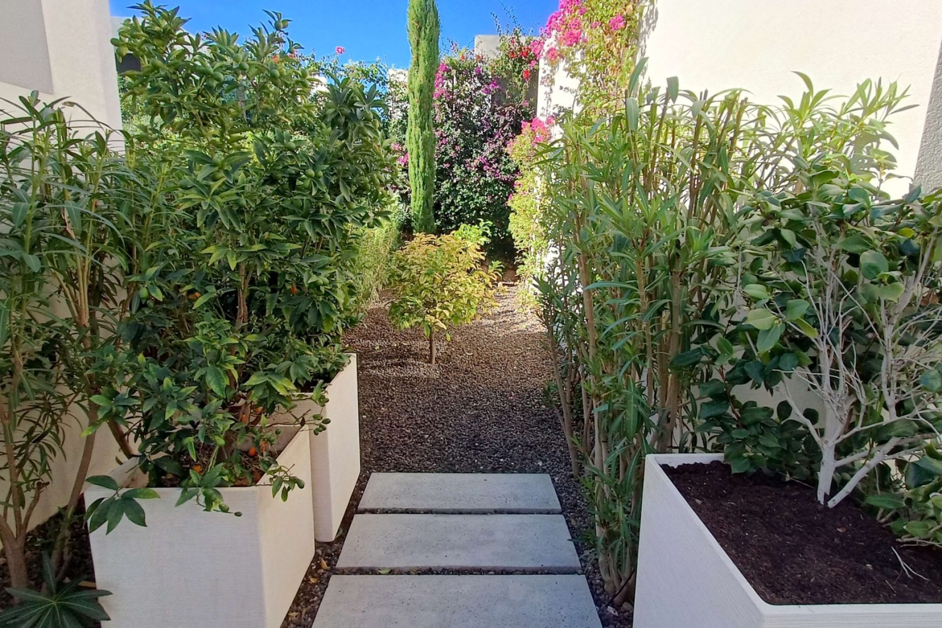 Reventa - Villa -
Algorfa - Inland