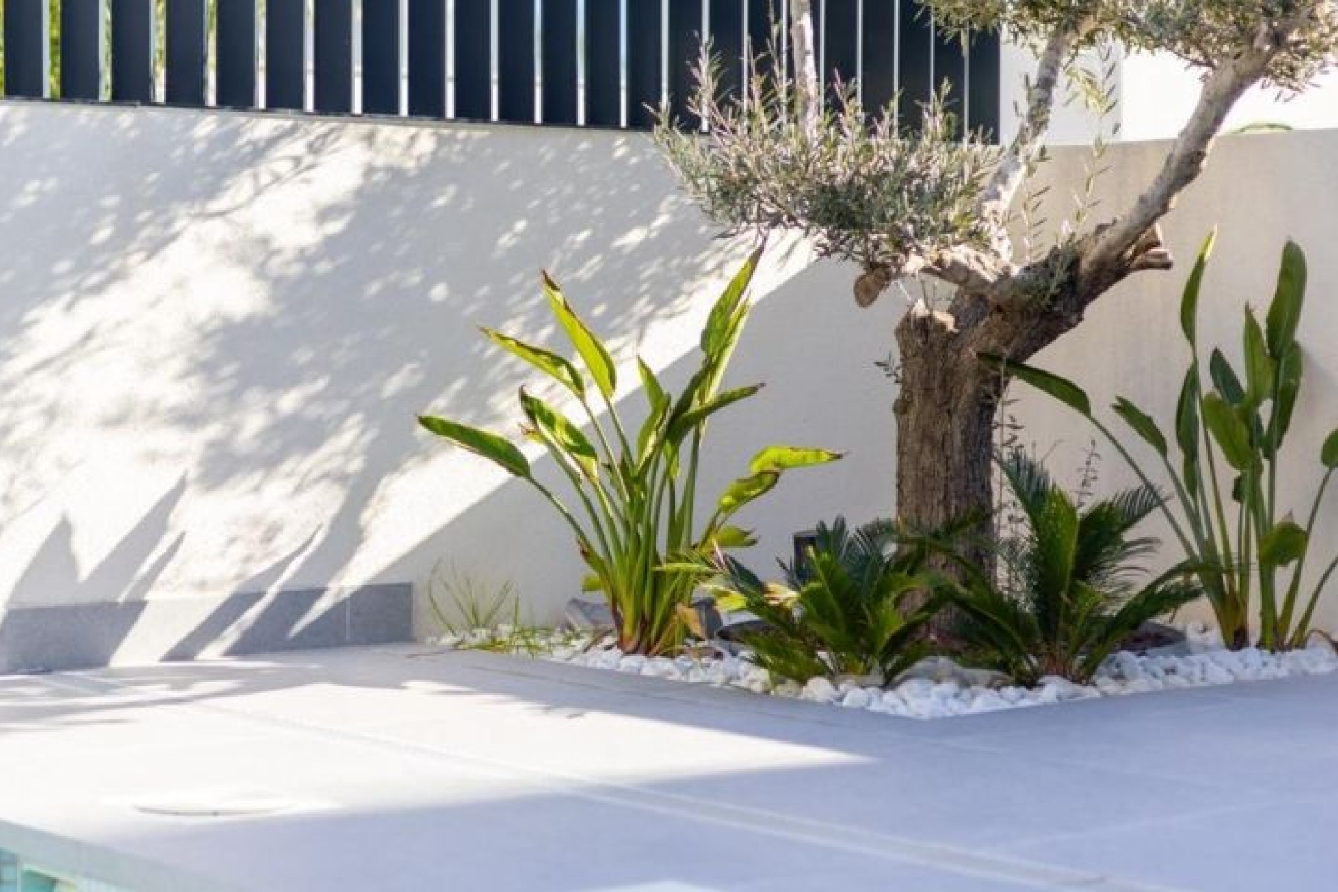 Reventa - Villa -
Algorfa - Inland